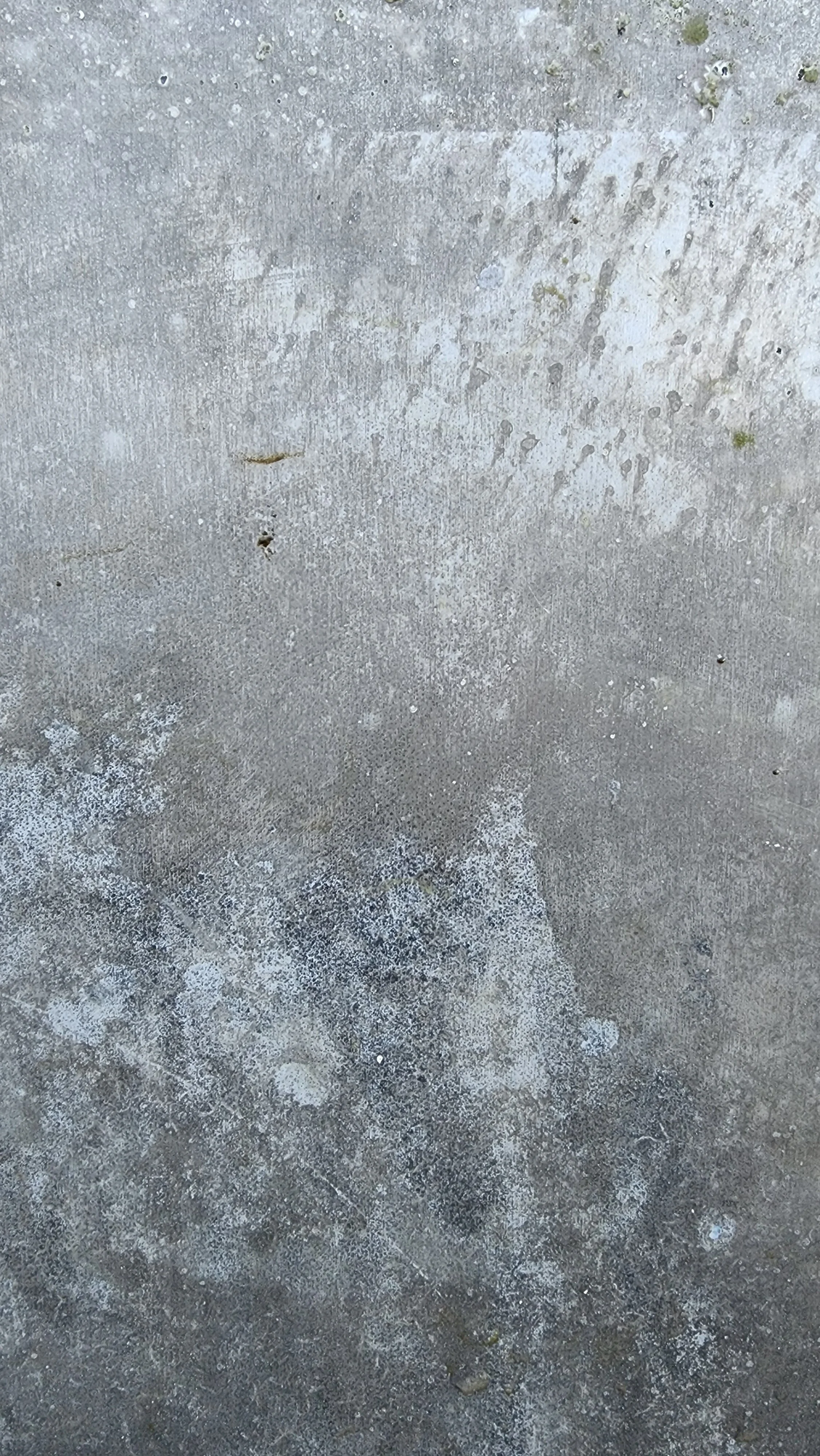20260716_142512.jpg