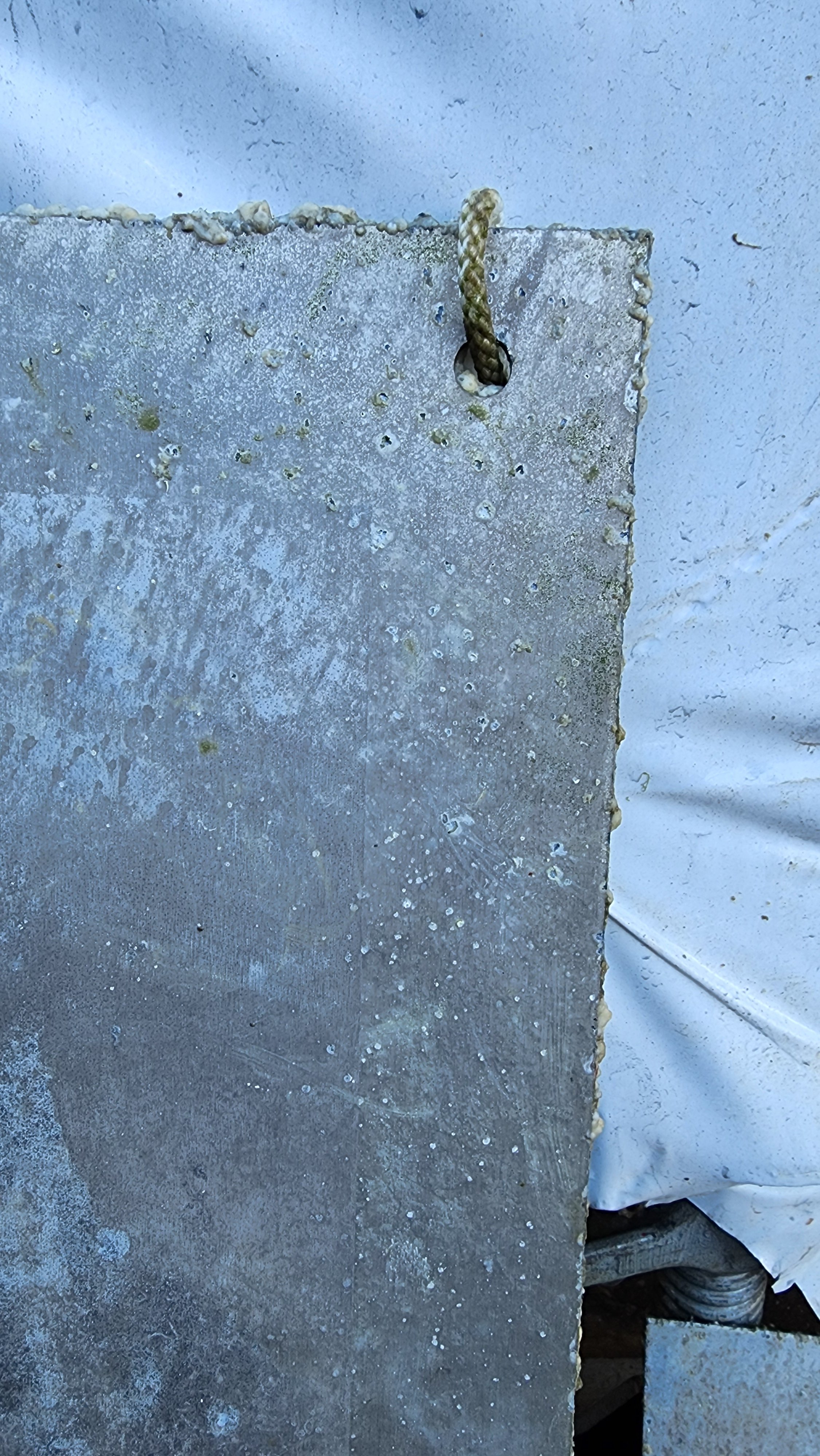 20260716_142603.jpg