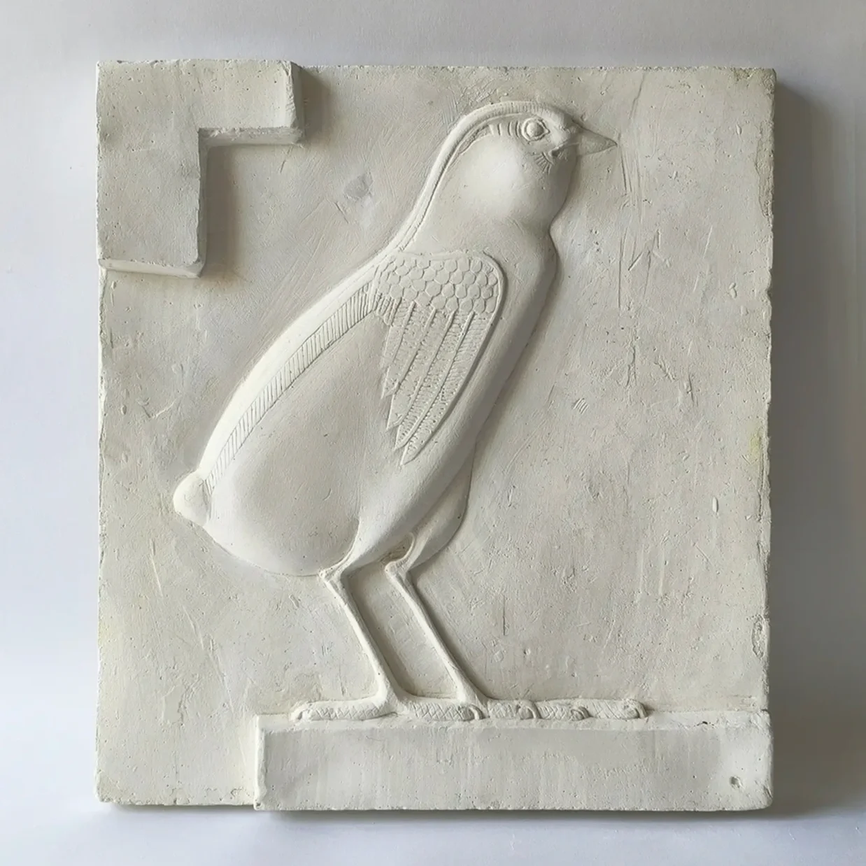 Bird 1
