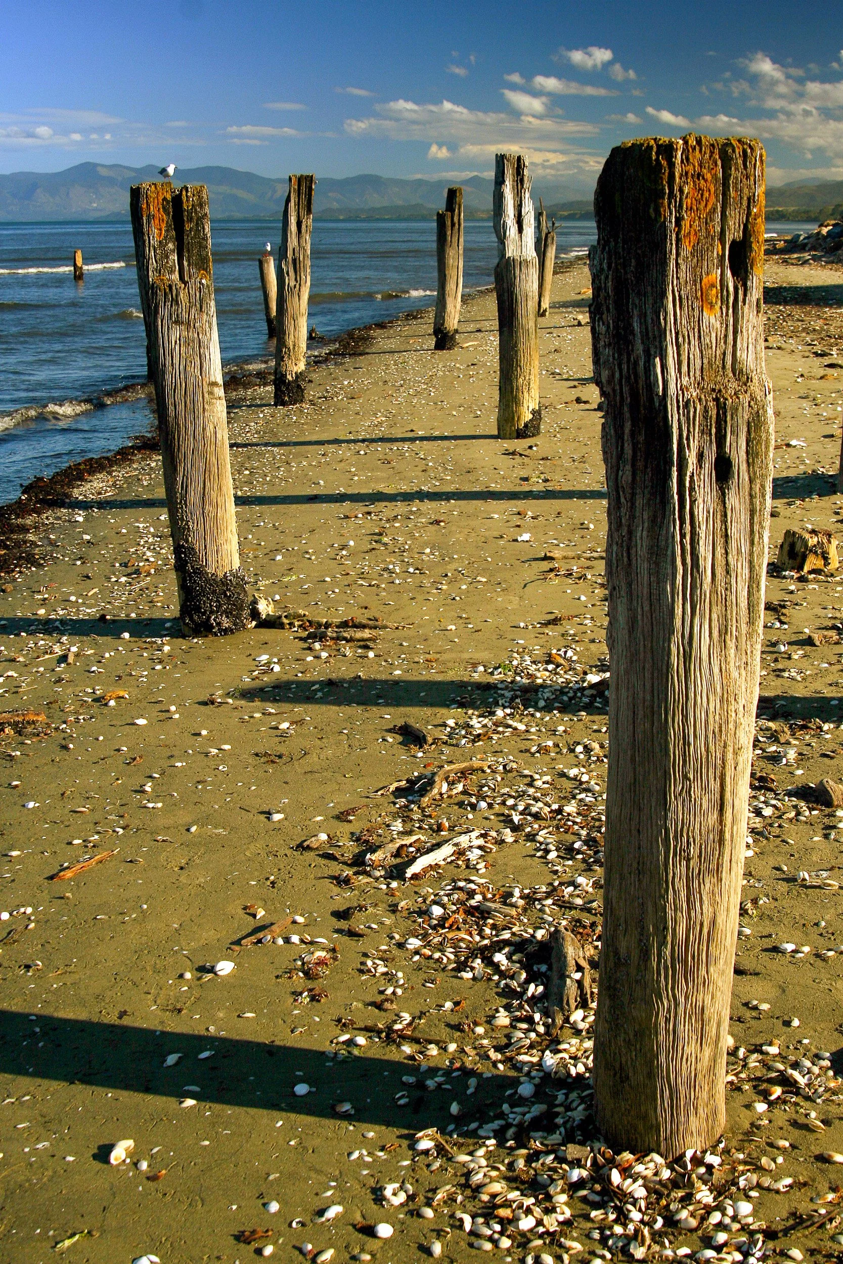 Weathered wooden posts stand in sand along a shell-covered lakeshore with mountains in the distance.