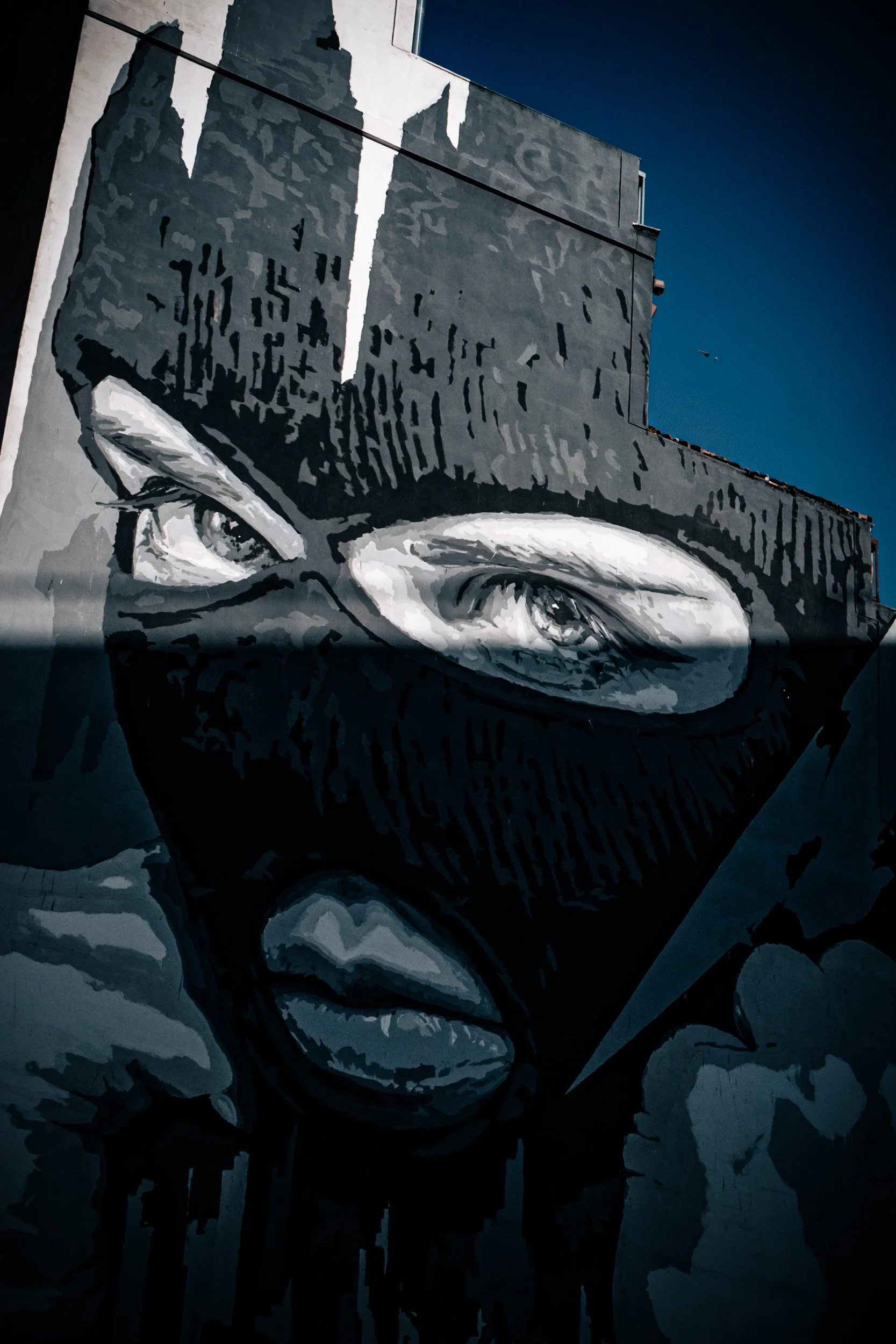 Borrowed Face