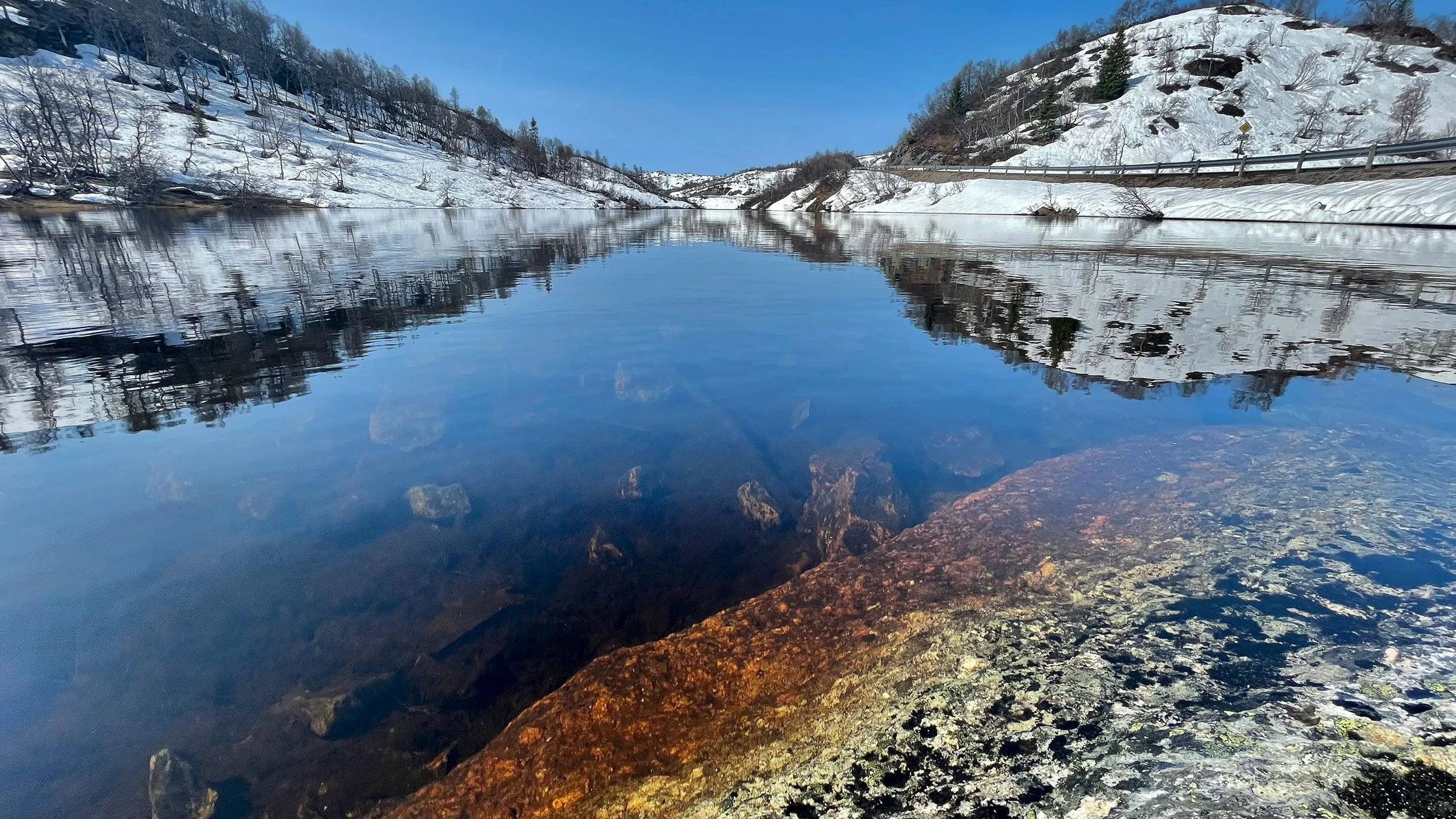 Snow-covered mountains reflect in a calm blue lake above a rocky lichen-covered foreground.
