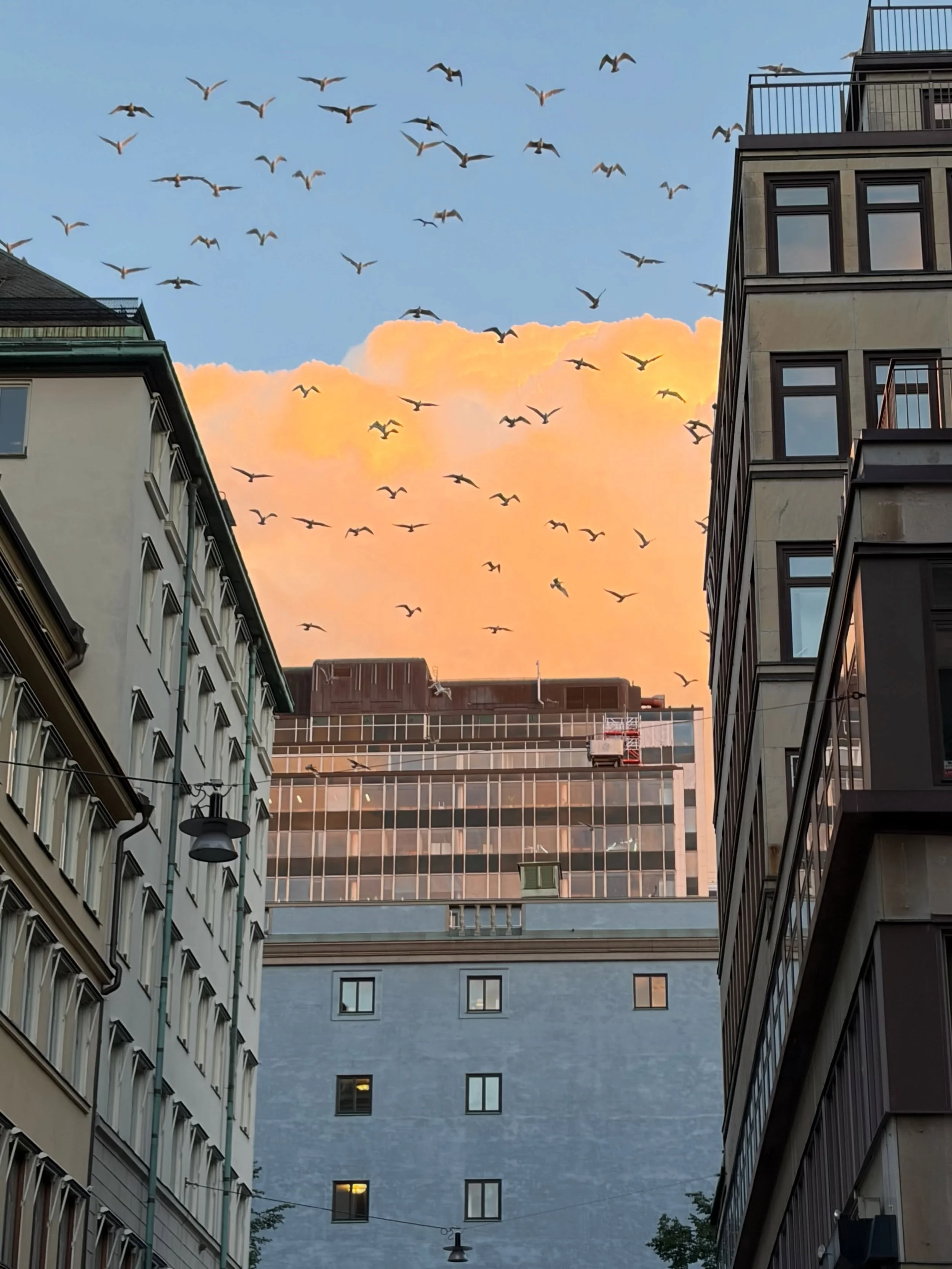 stockholm sky delivers