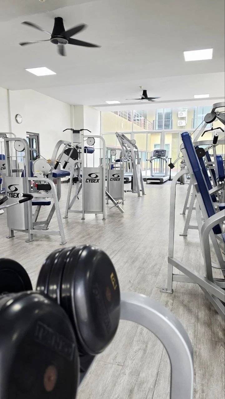 Empty gym with various exercise machines and free weights, sunlight filtering through large windows.