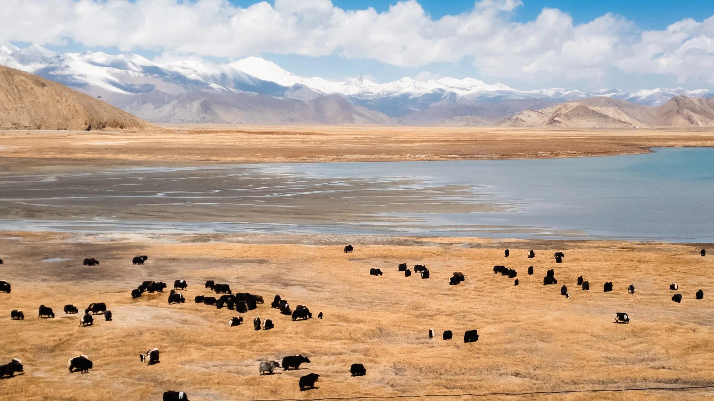 Tibet-山南-APR 2026-708.jpg