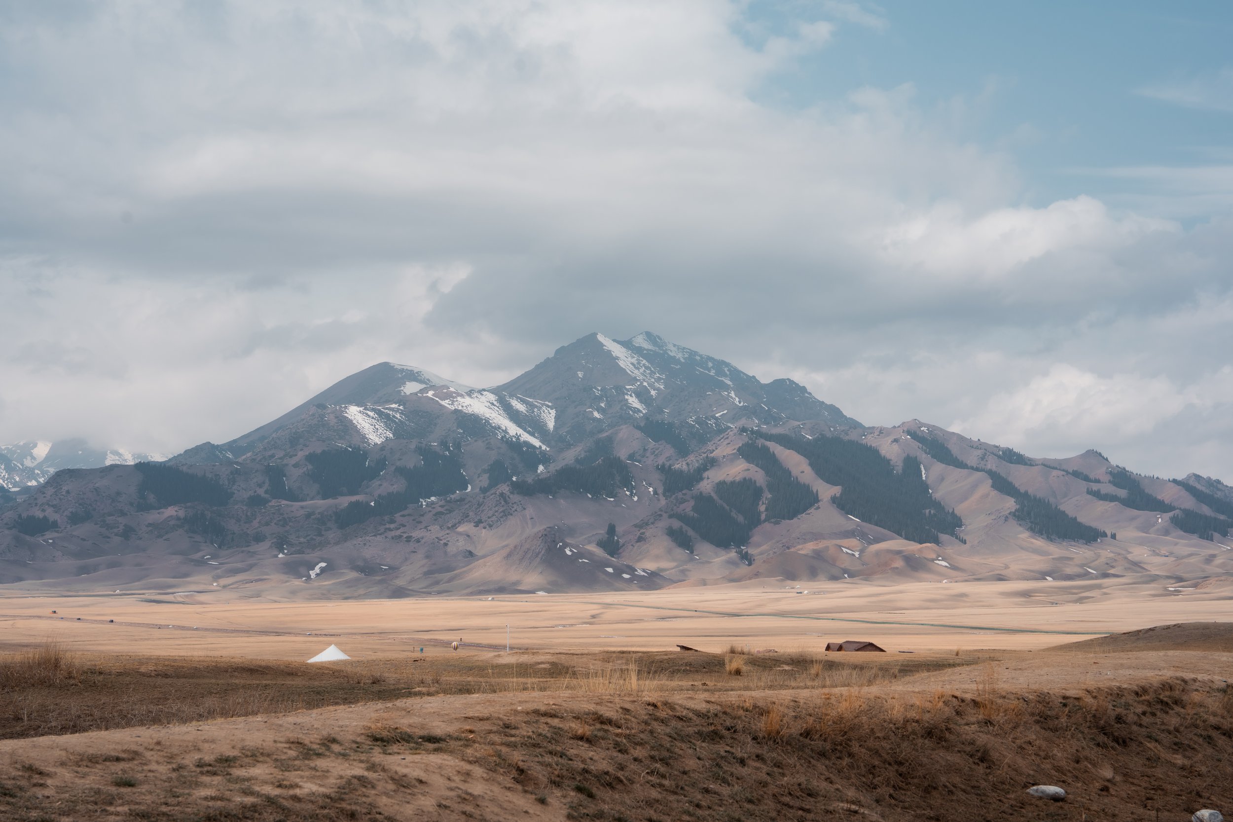 lifesaid-XINJIANG 2026.APR-20.jpg