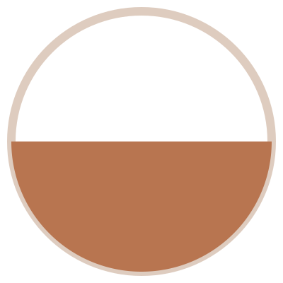 Decorative design accent, bioresonance page. A pie chart illustrating a division between two segments, with the lower segment colored brown and the upper segment white.