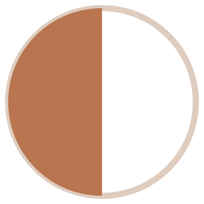Decorative design accent, bioresonance page. A piechart showing half with the left segment coloured brown and the right segment white.