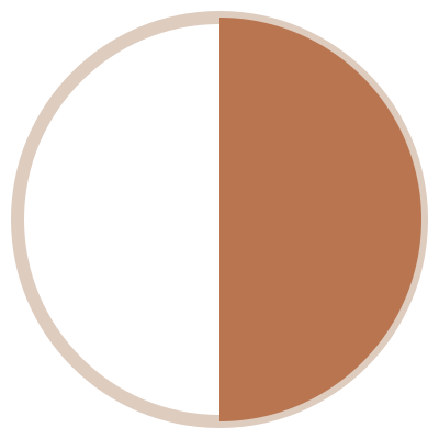 Decorative design accent, bioresonance page.  A piechart showing half with the left segment coloured white and the right segment brown.
