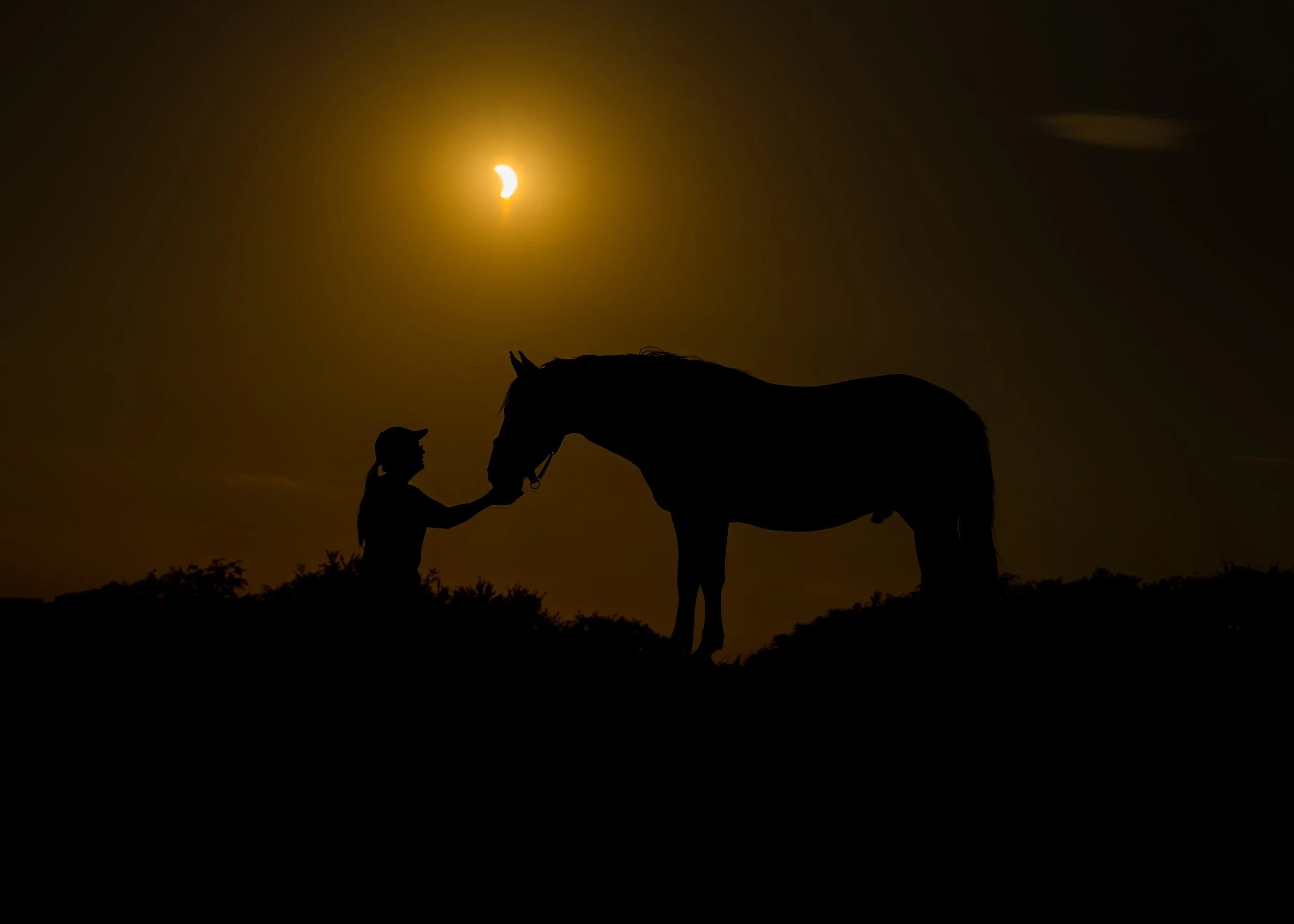 Bear’s Eclipse Photoshoot