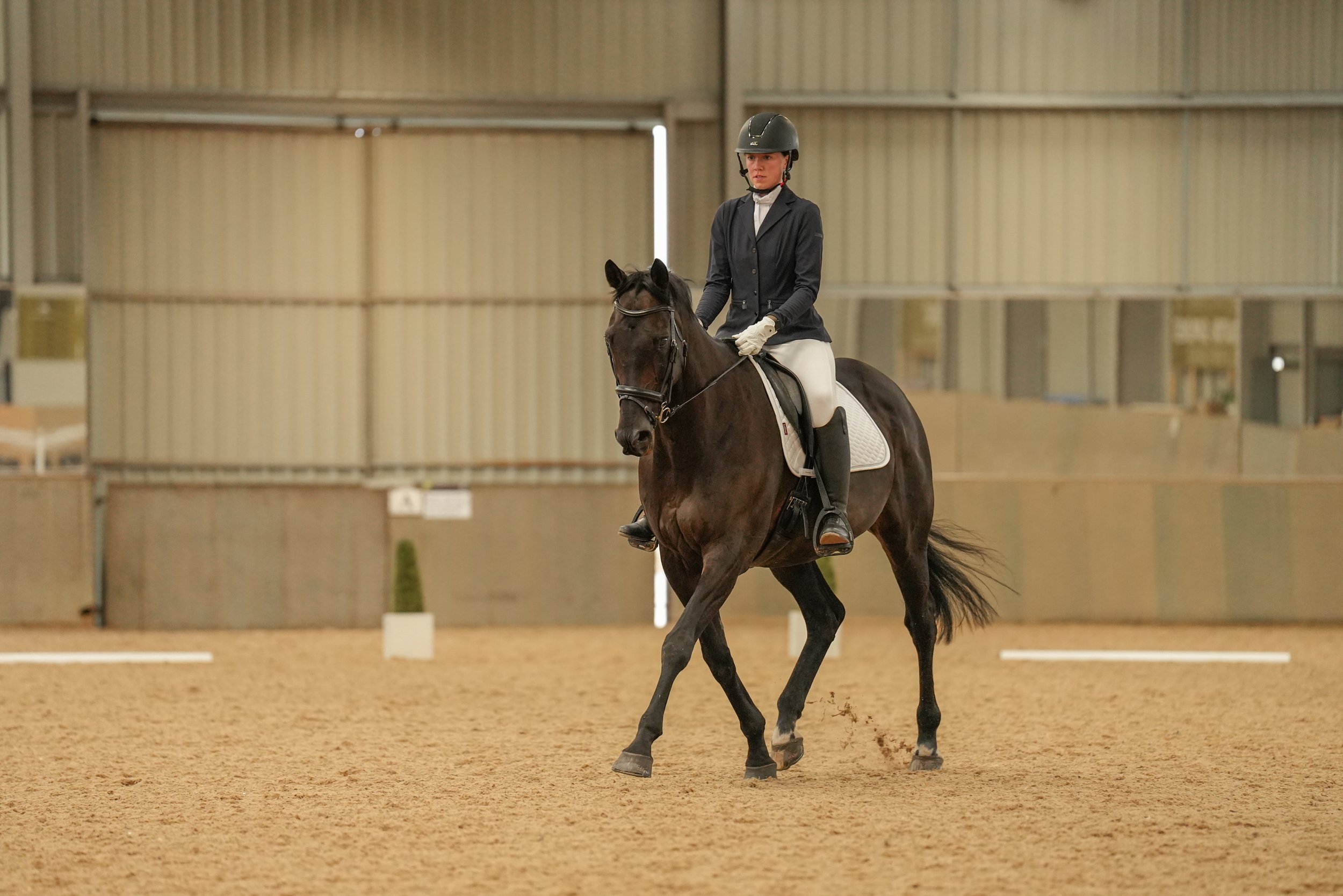 A woman in equestrian gear riding a dark brown horse in an indoor arena.