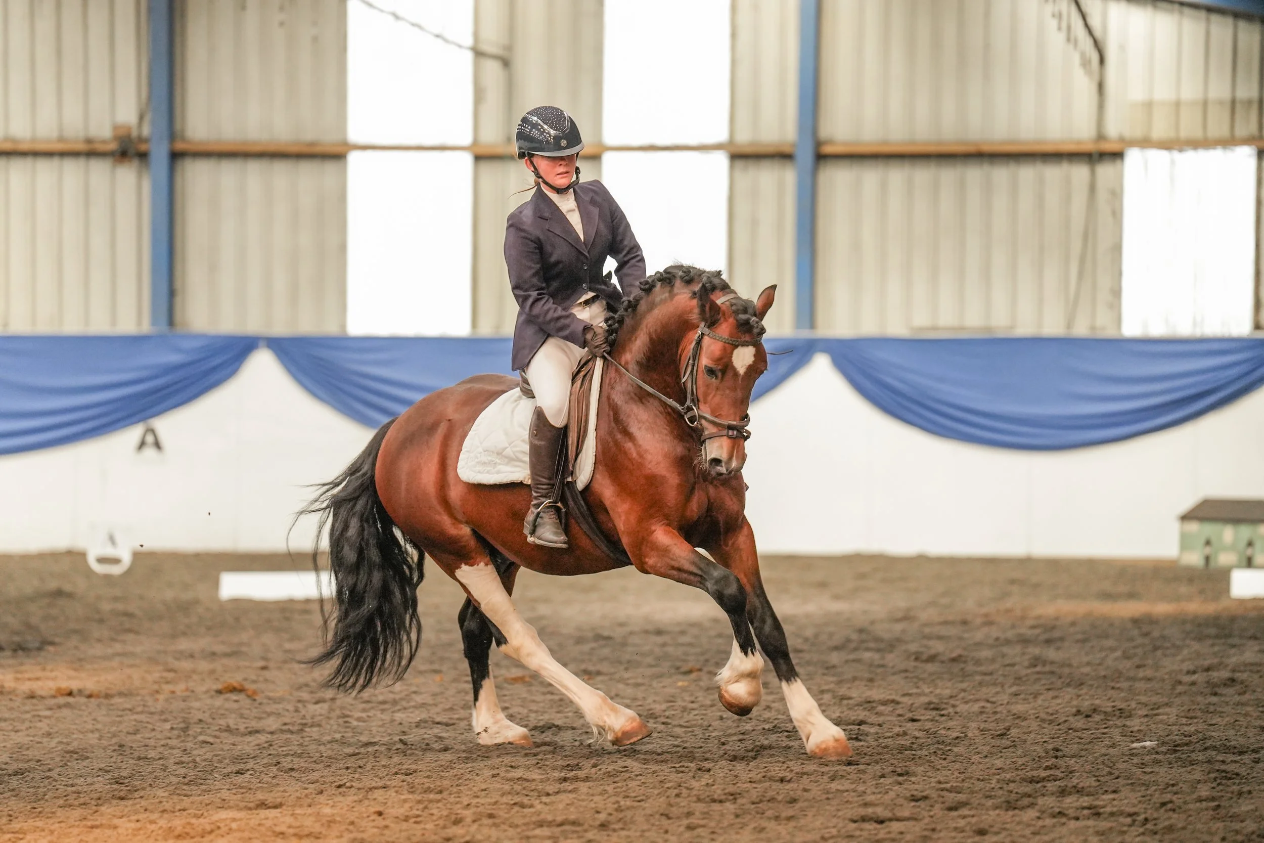 A woman in formal riding attire, including a black helmet and blazer, is riding a brown and white horse inside an indoor riding arena with a dirt floor, blue decorative drapes, and large windows letting in natural light.