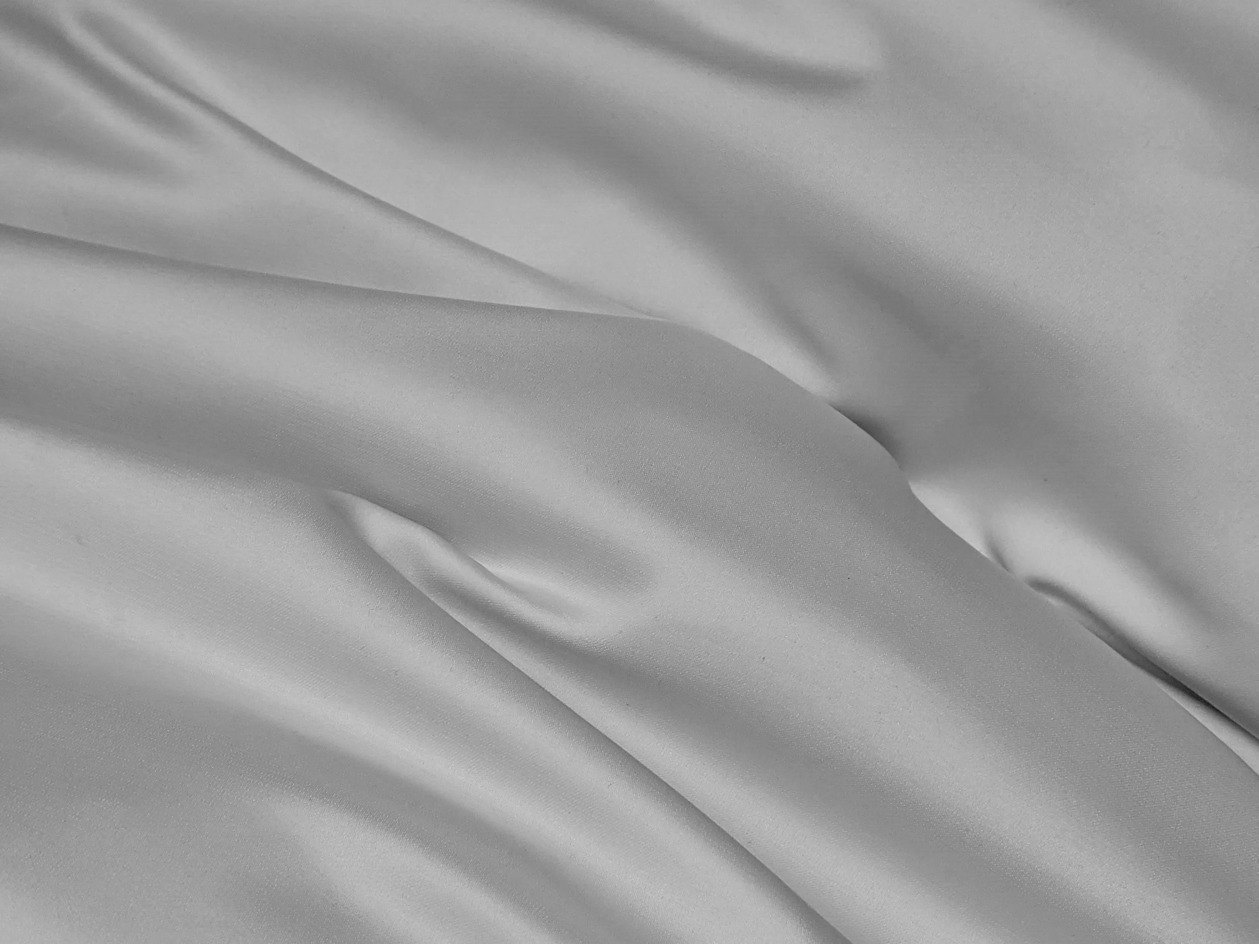 susan-wilkinson-R_bv0S9MC8c-unsplash_bw_2.jpg