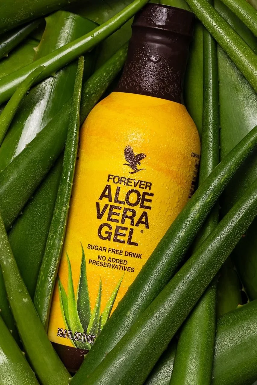 Ein Flasche Forever Aloe Vera Gel liegt inmitten von vielen grünen Aloe Vera Stämmen. Die Flasche ist gelb mit einem braunen Deckel und zeigt ein Aloe Vera Blatt. Es ist Feucht auf der Flasche, wahrscheinlich aufgrund von Wassertröpfchen.