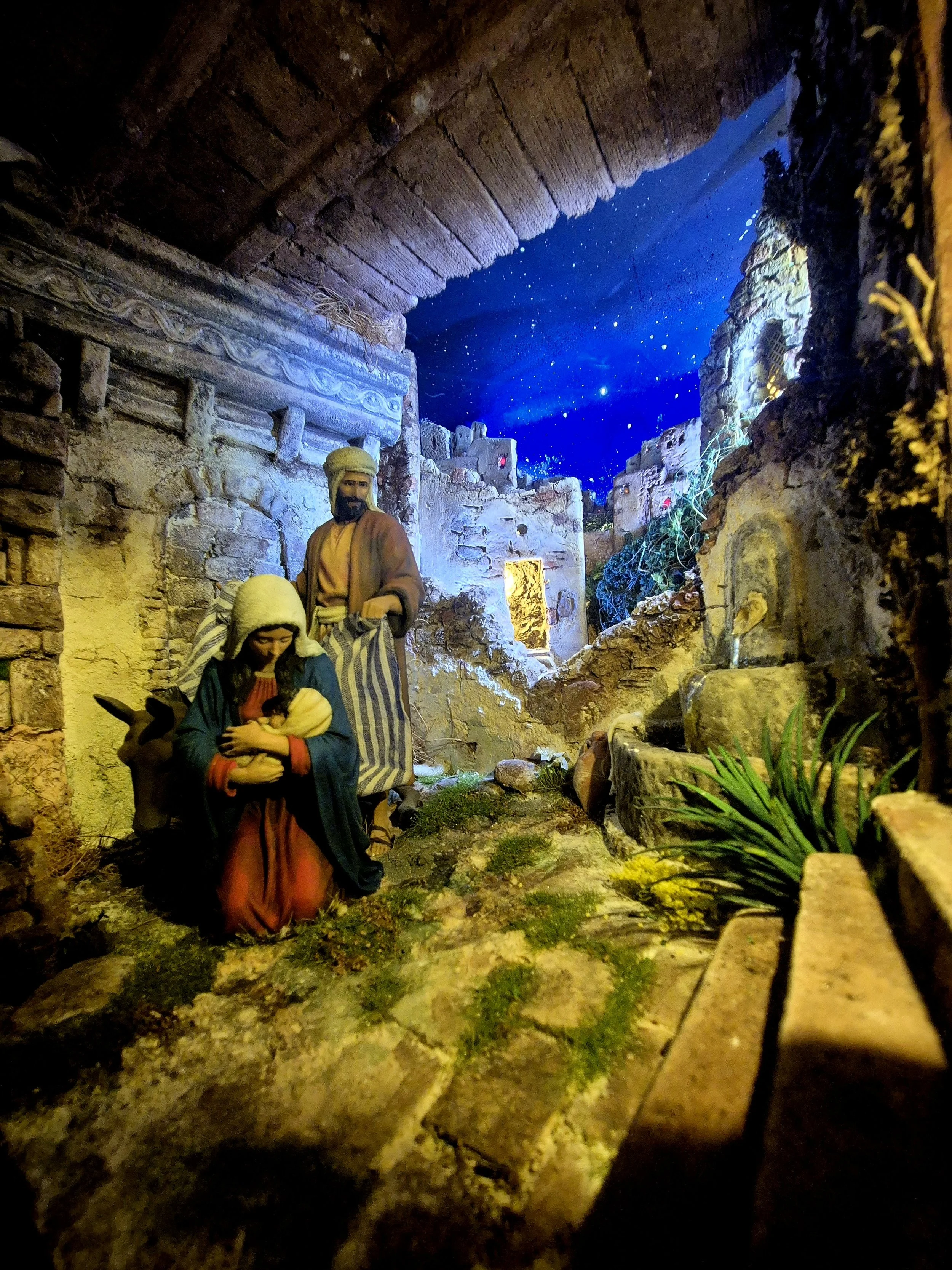 campo medio (3).jpg