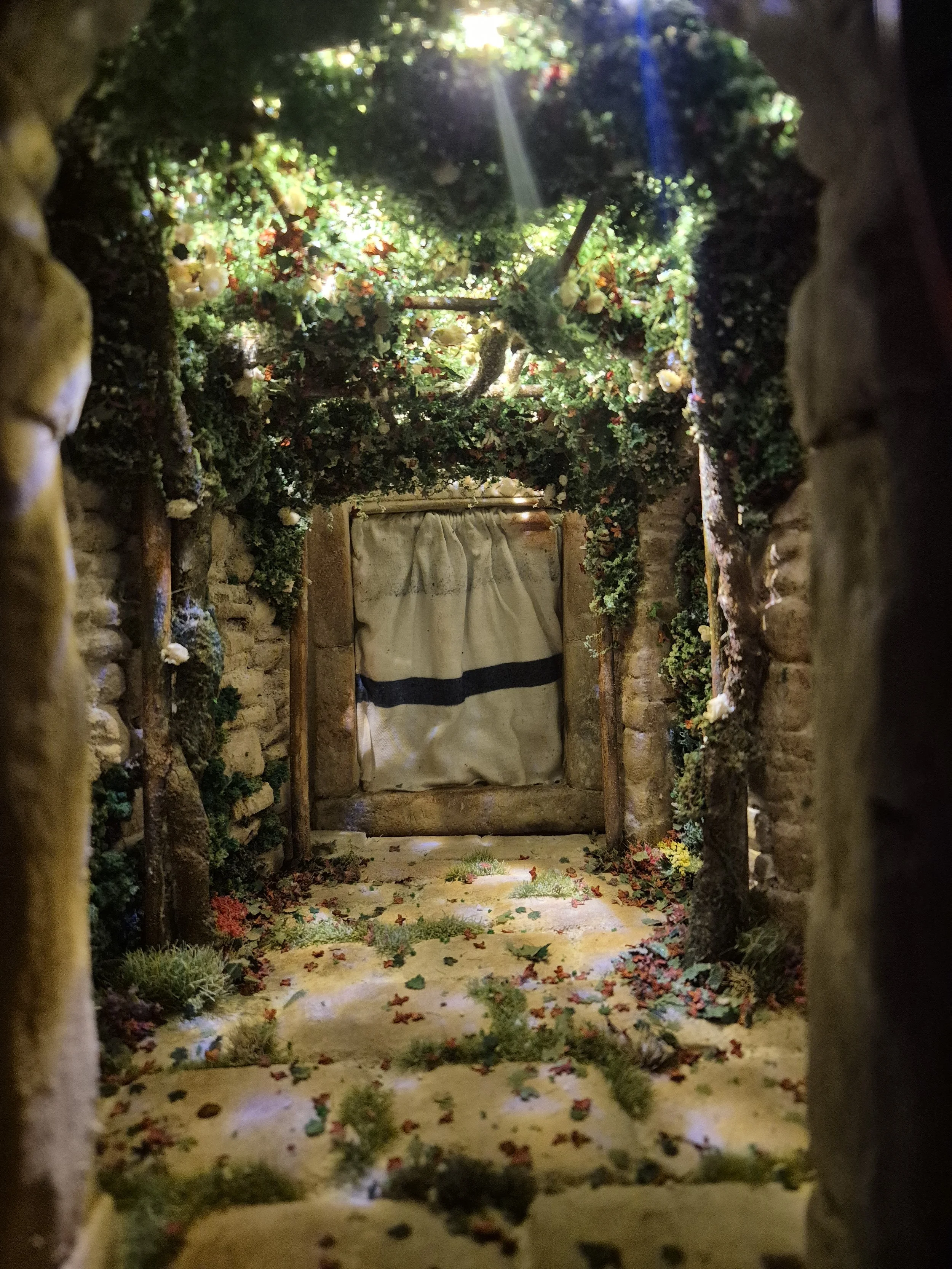 VISITAZIONE (33).jpg