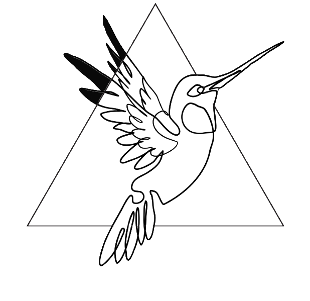 Disegno di un colibrì con un triangolo sullo sfondo