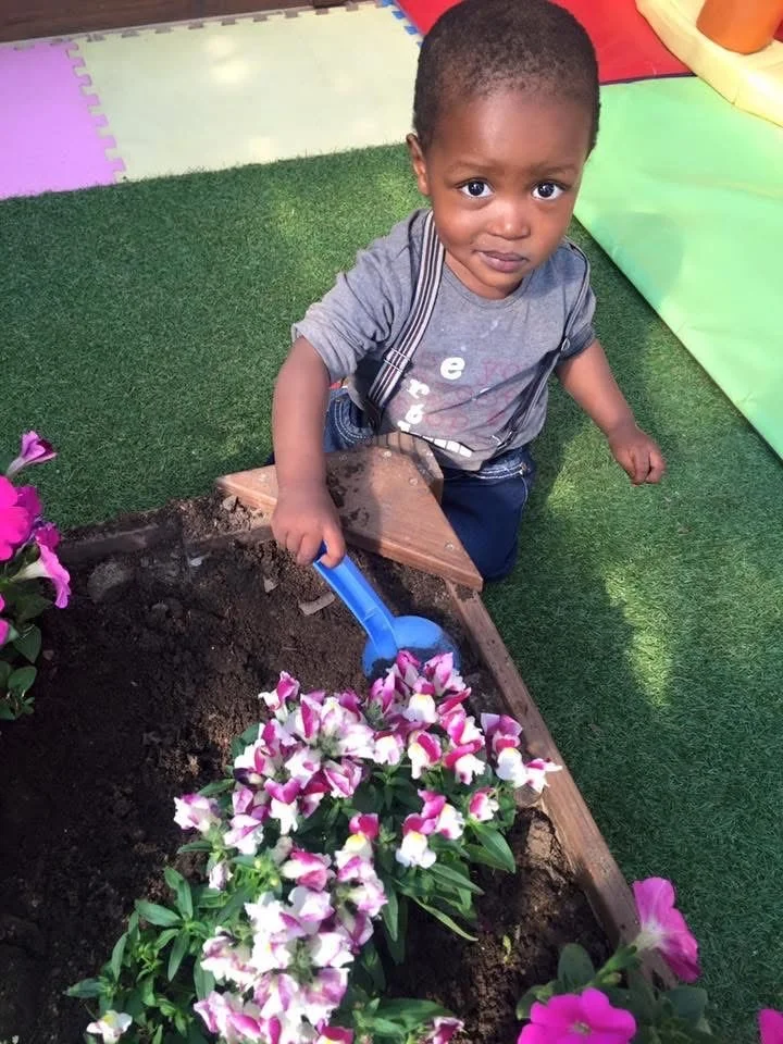 A young boy with short hair, wearing a gray t-shirt and dark jeans, is planting pink and white flowers in a raised garden bed with soil. He is holding a small blue gardening shovel and looking at the camera.