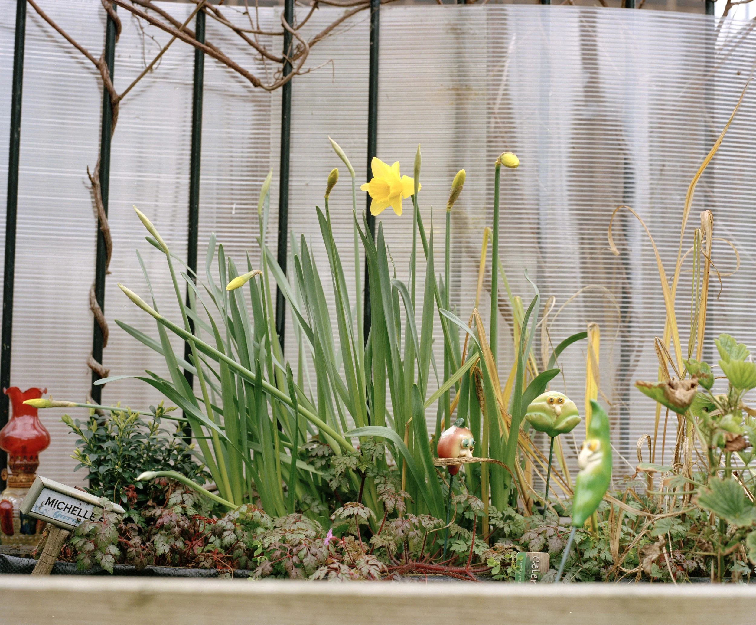 edit1.jpg