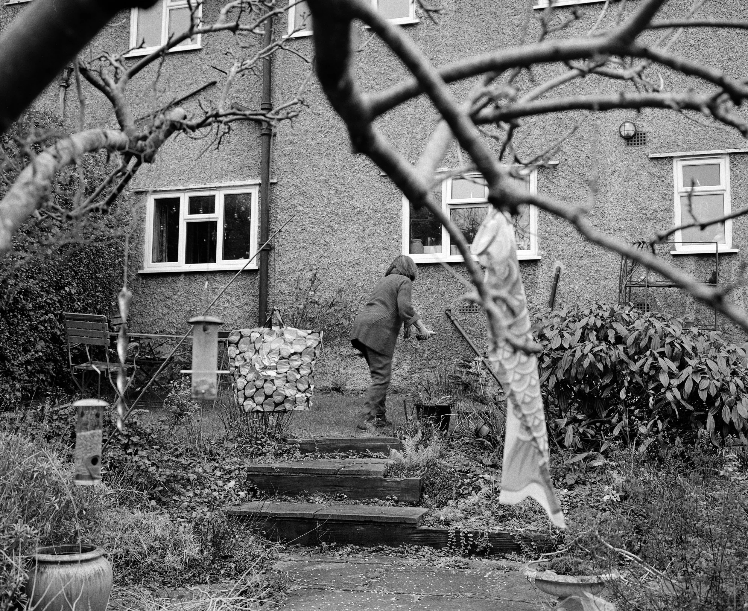 carolinegarden9.jpg