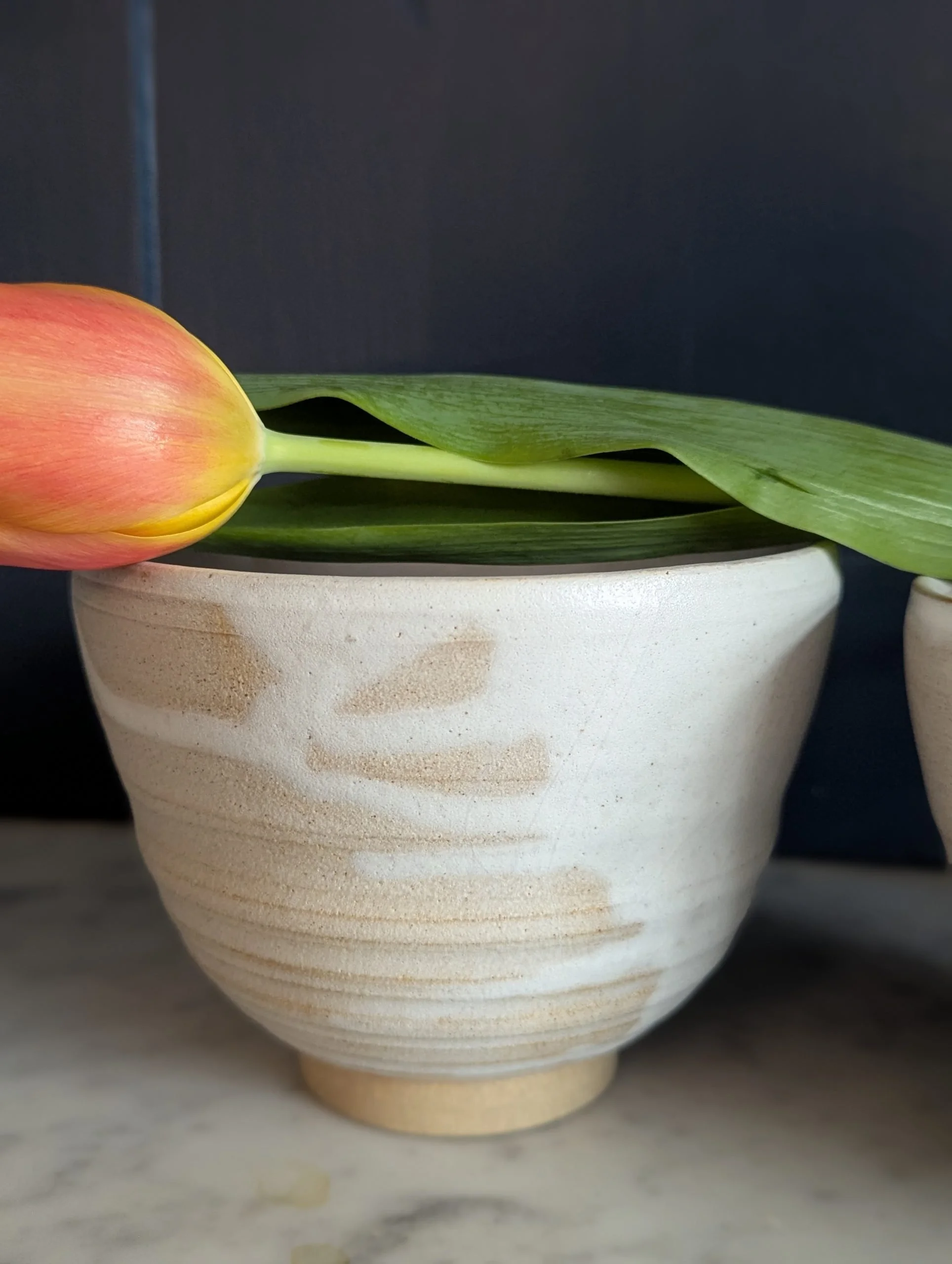 Close-up of a peach-colored tulip flower with green leaves in a white ceramic bowl against a dark background.