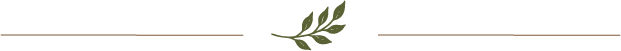 Empty horizontal banner with green leaves at the top center on a light background.