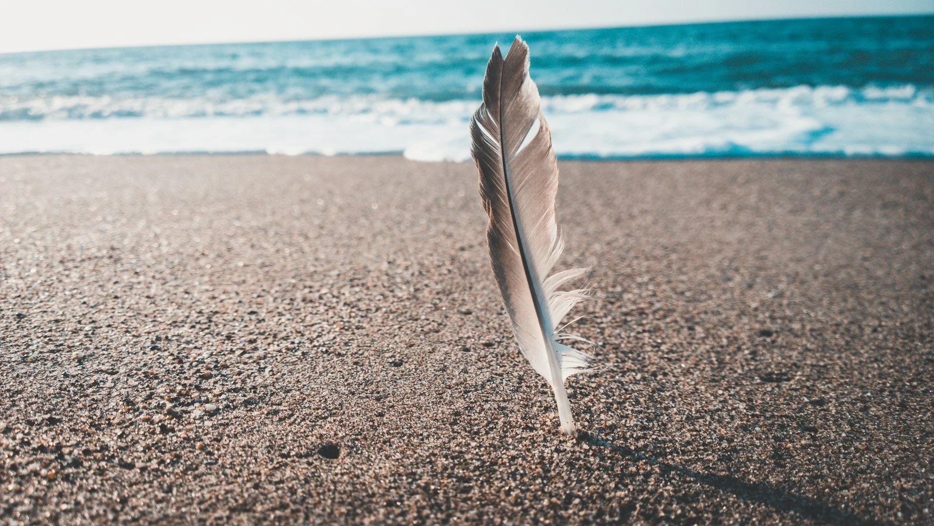 The Power of Quiet Confidence
