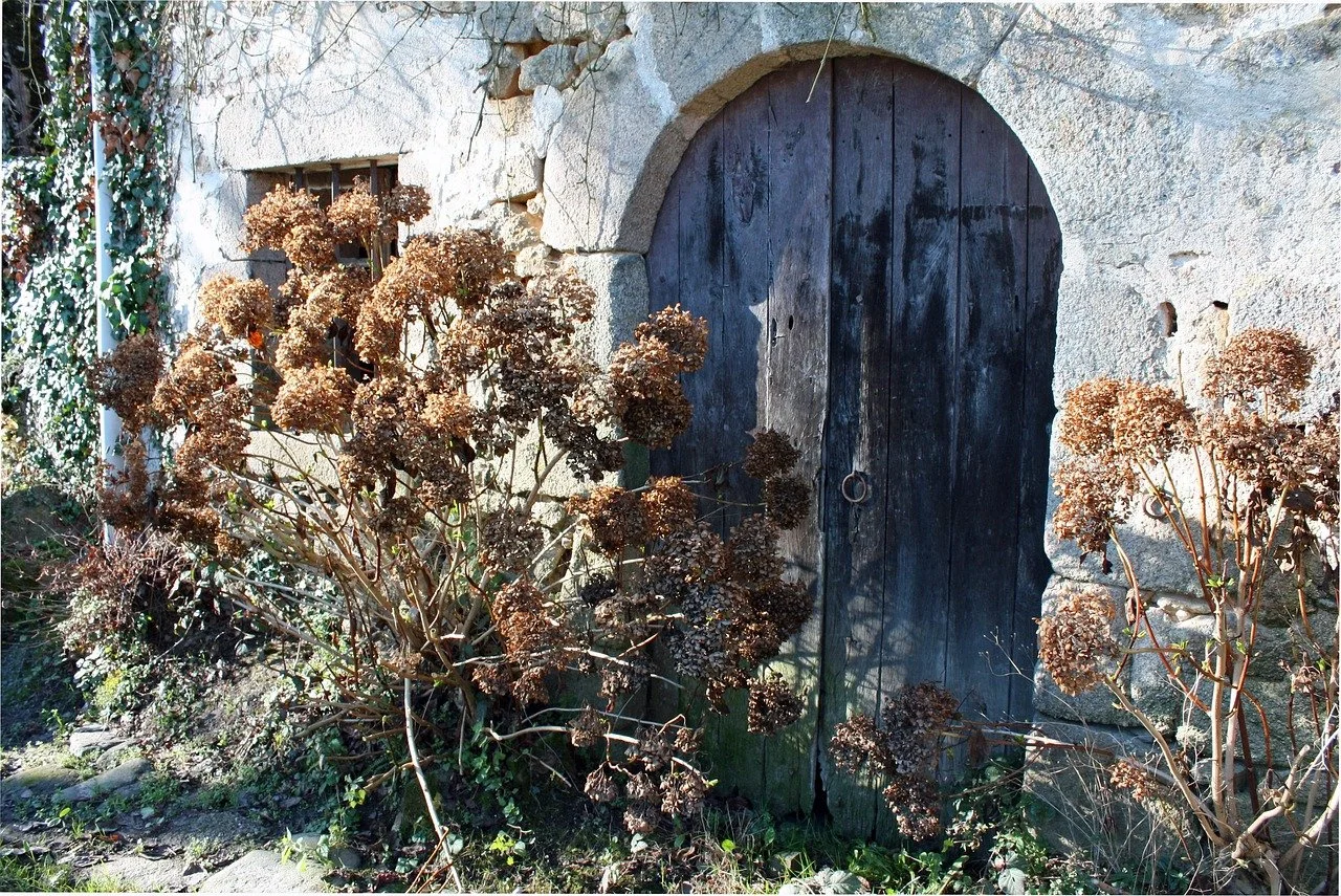 Website Homepage Design: Why Your Front Door Doesn't Matter Anymore