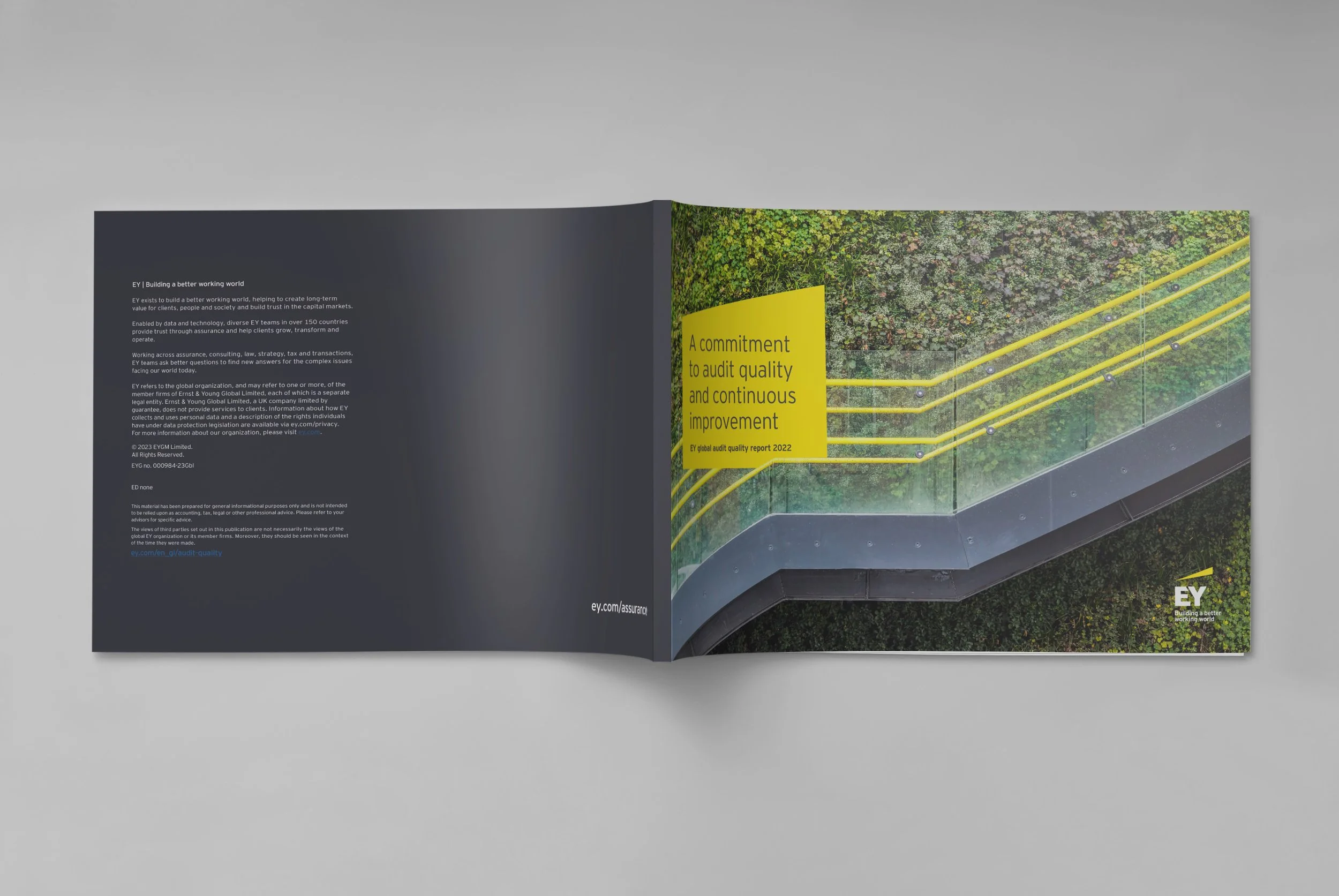 GLOBAL AUDIT COVER and BACK.jpg