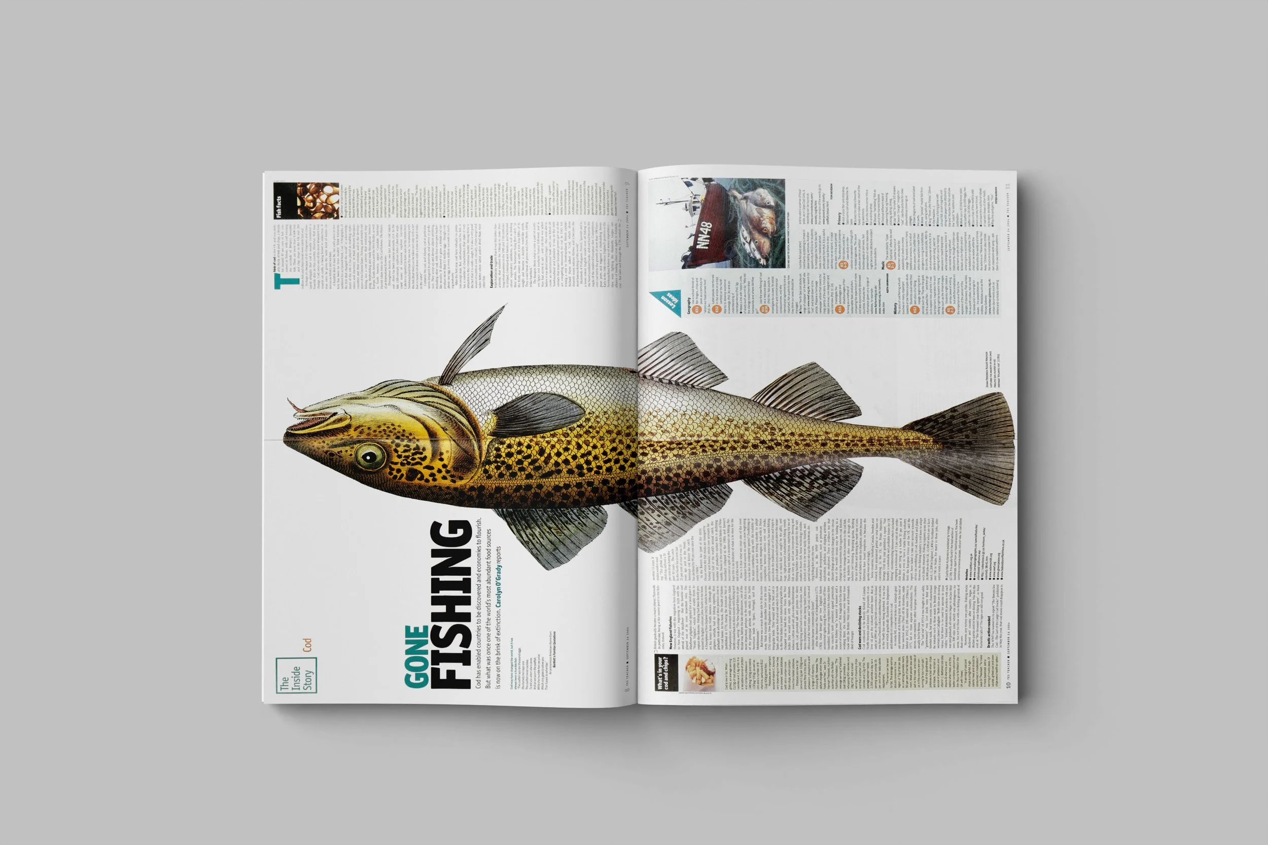 FISHING SPREAD psd.jpg