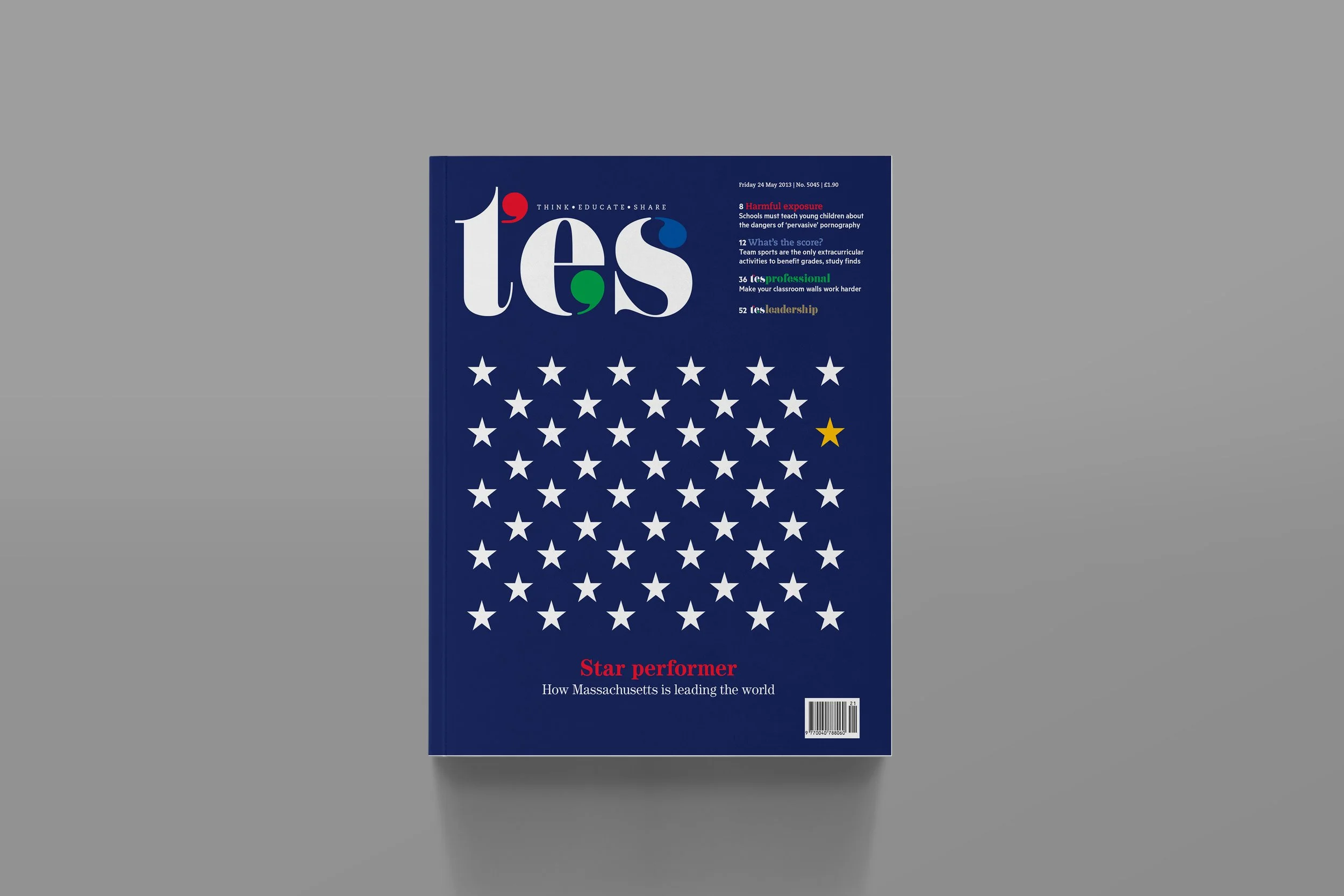 The TES