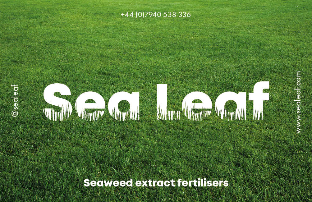 SEALEAFCARD.PNG