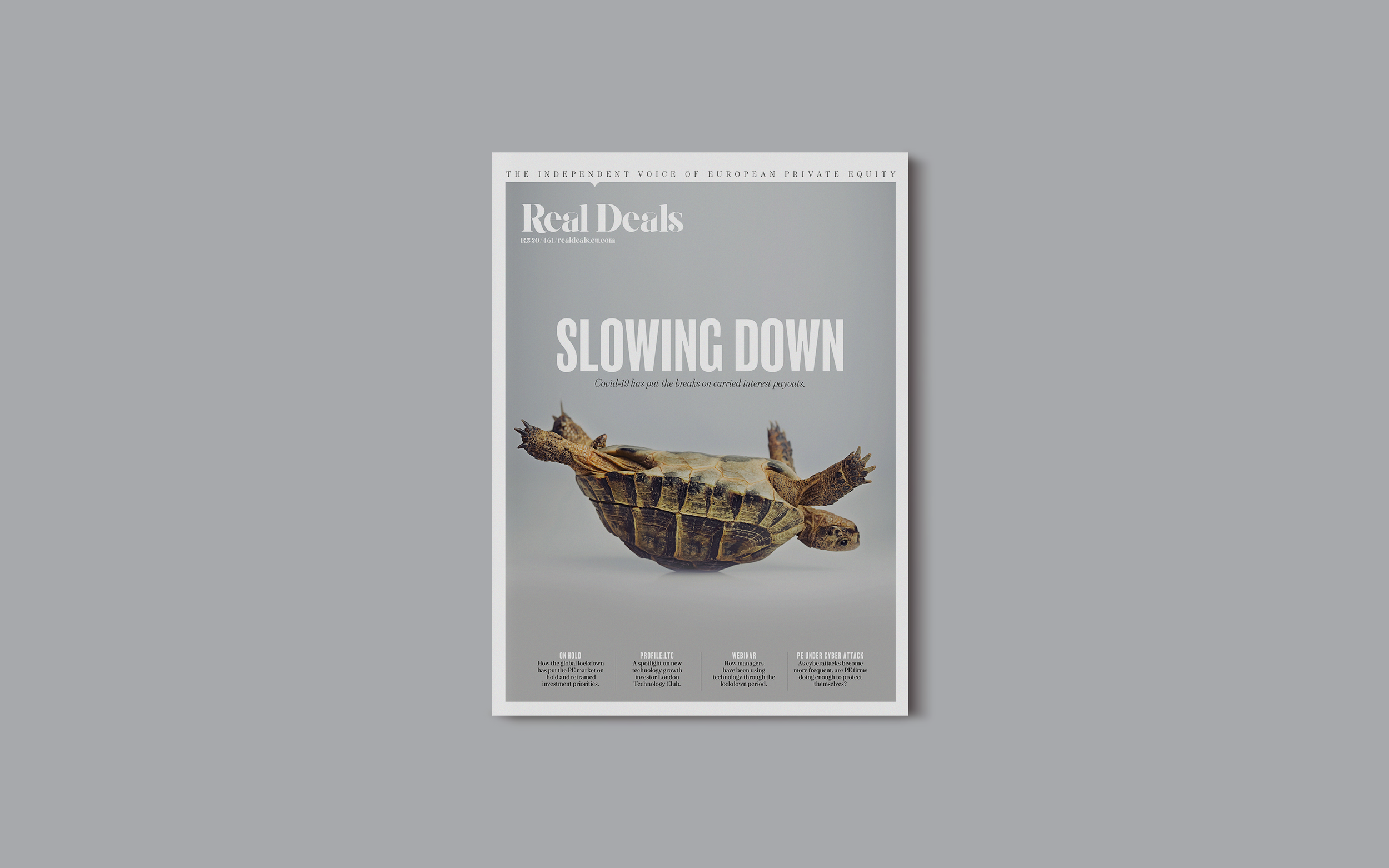 RDFRONTTORTOISE.png