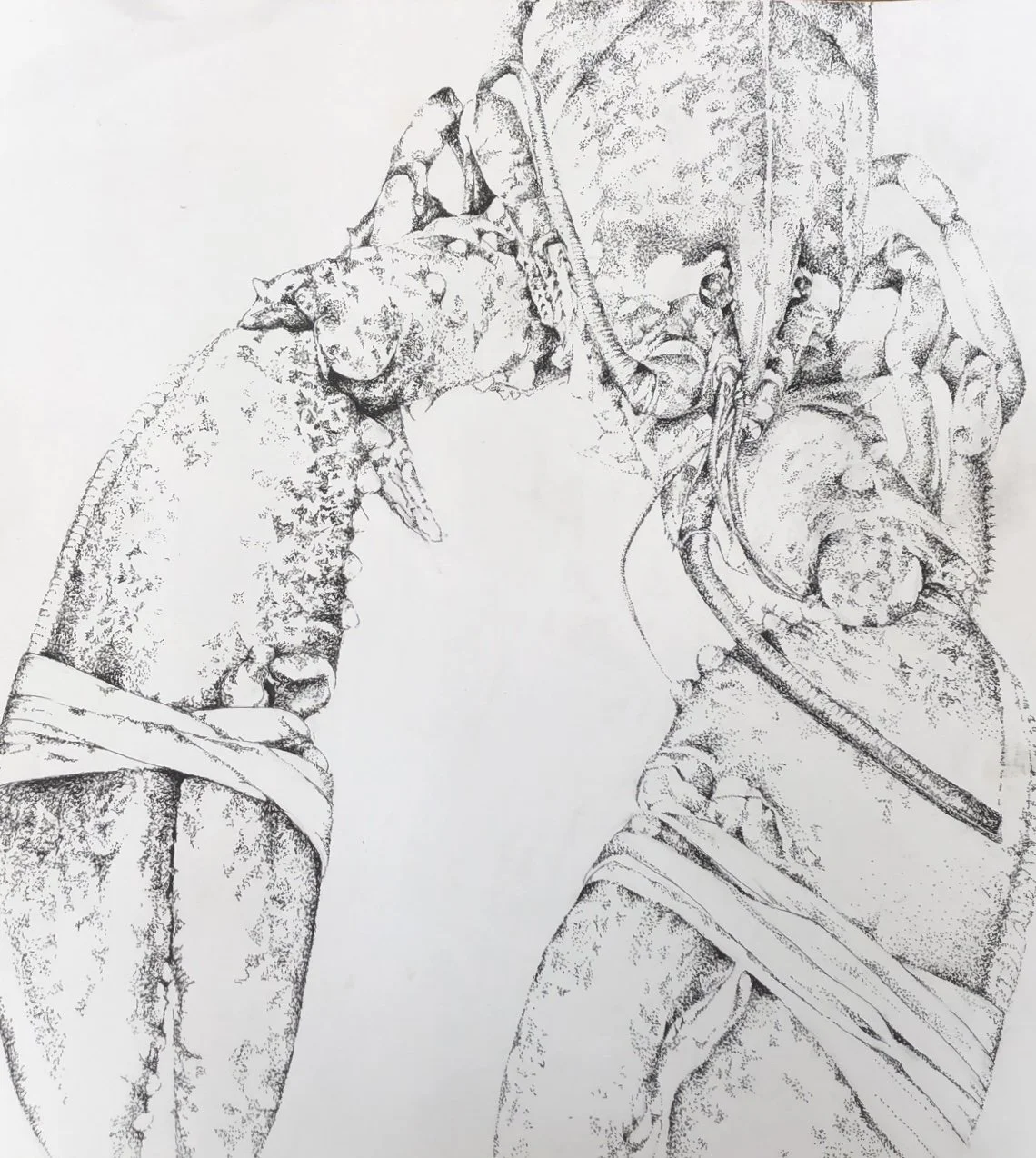 38x42cm fineliner on paper