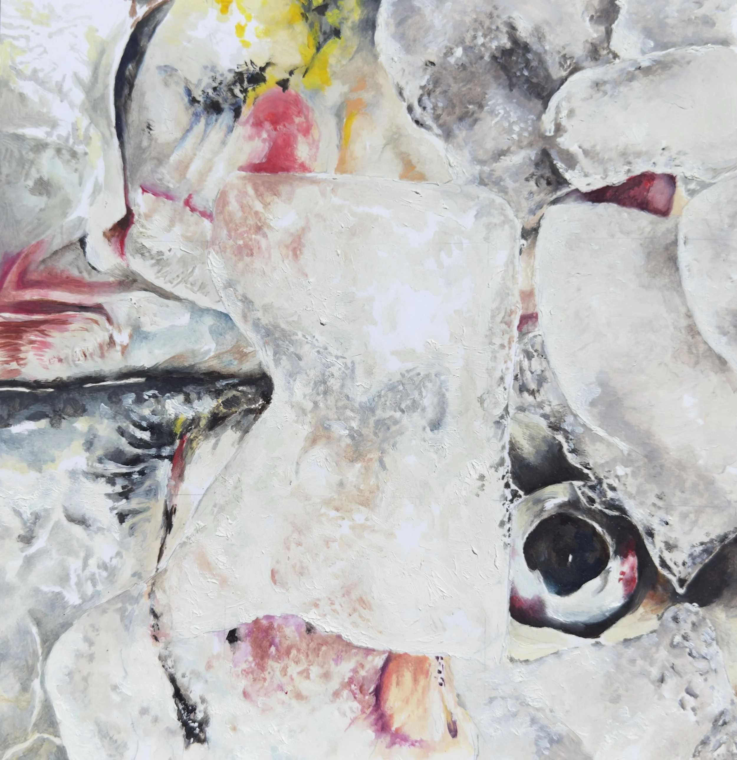 29x29cm oil on paper
