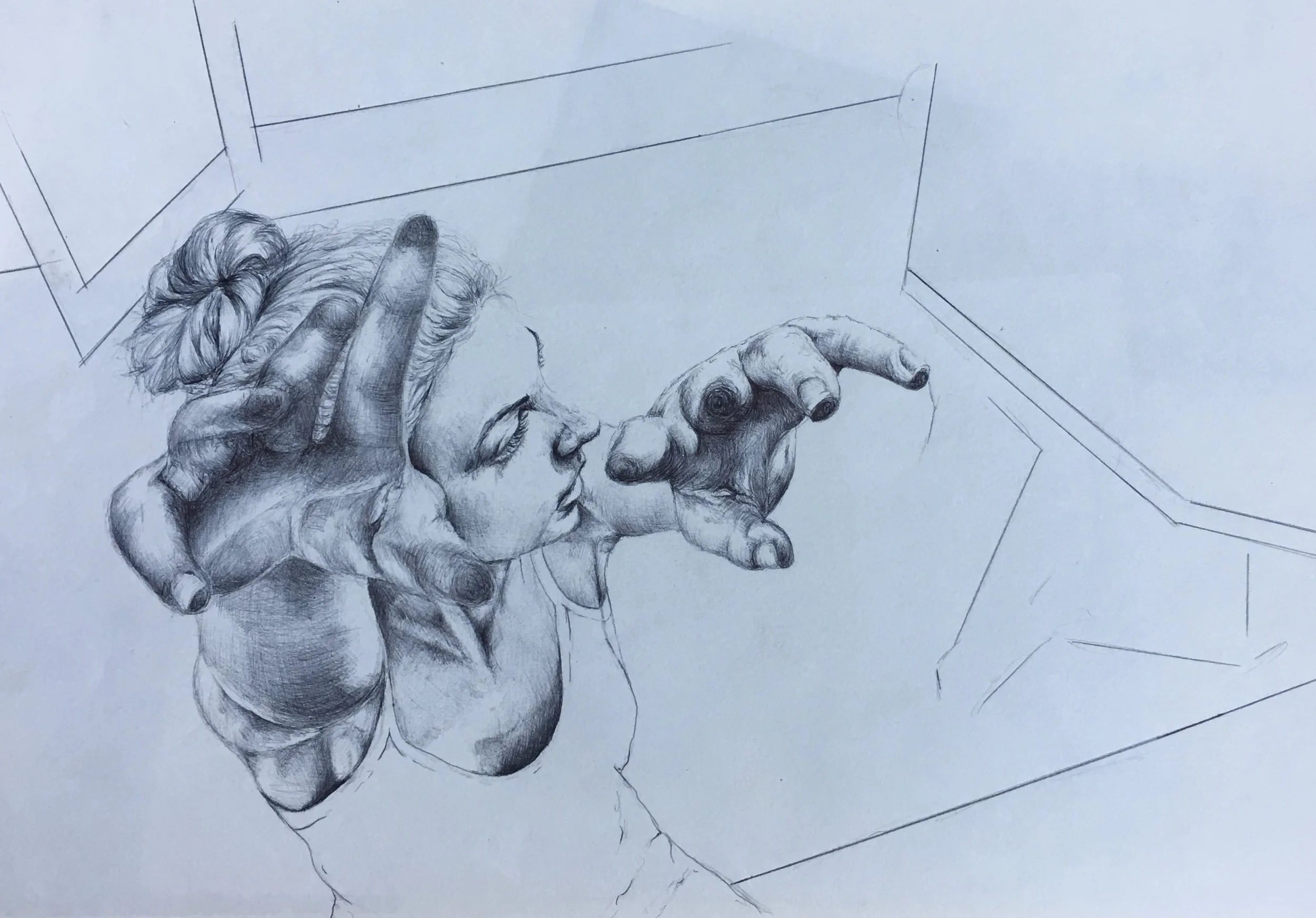 30x42cm biro on paper