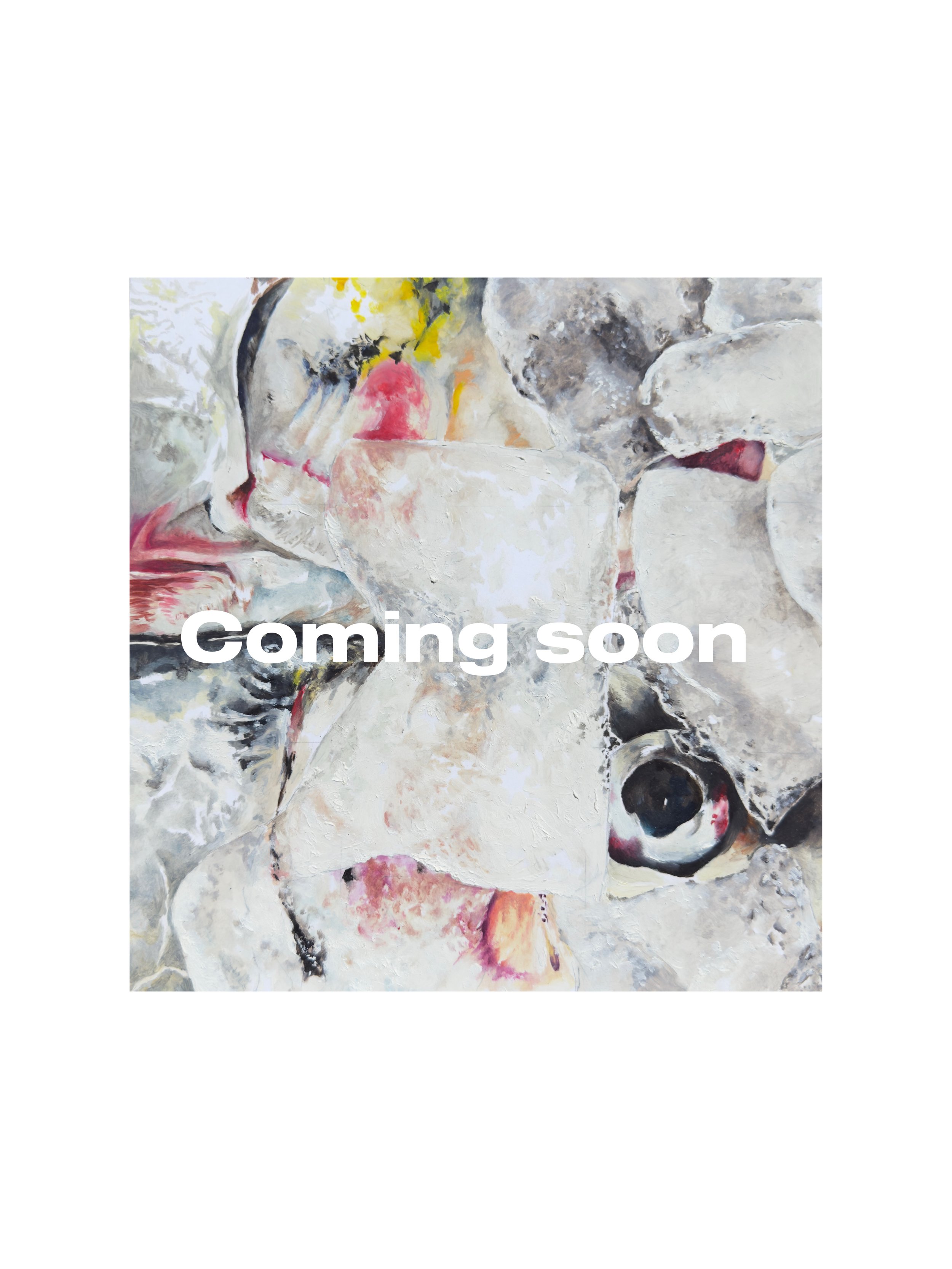 COMING SOON - Through the fishing glass