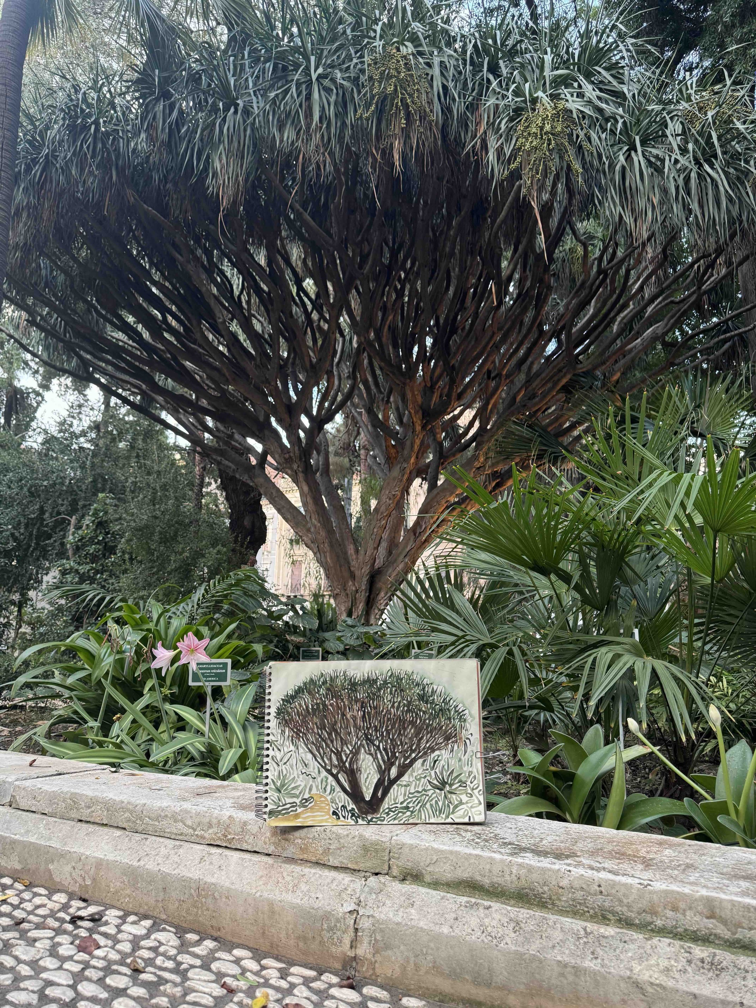 西西里植物園_04.jpg
