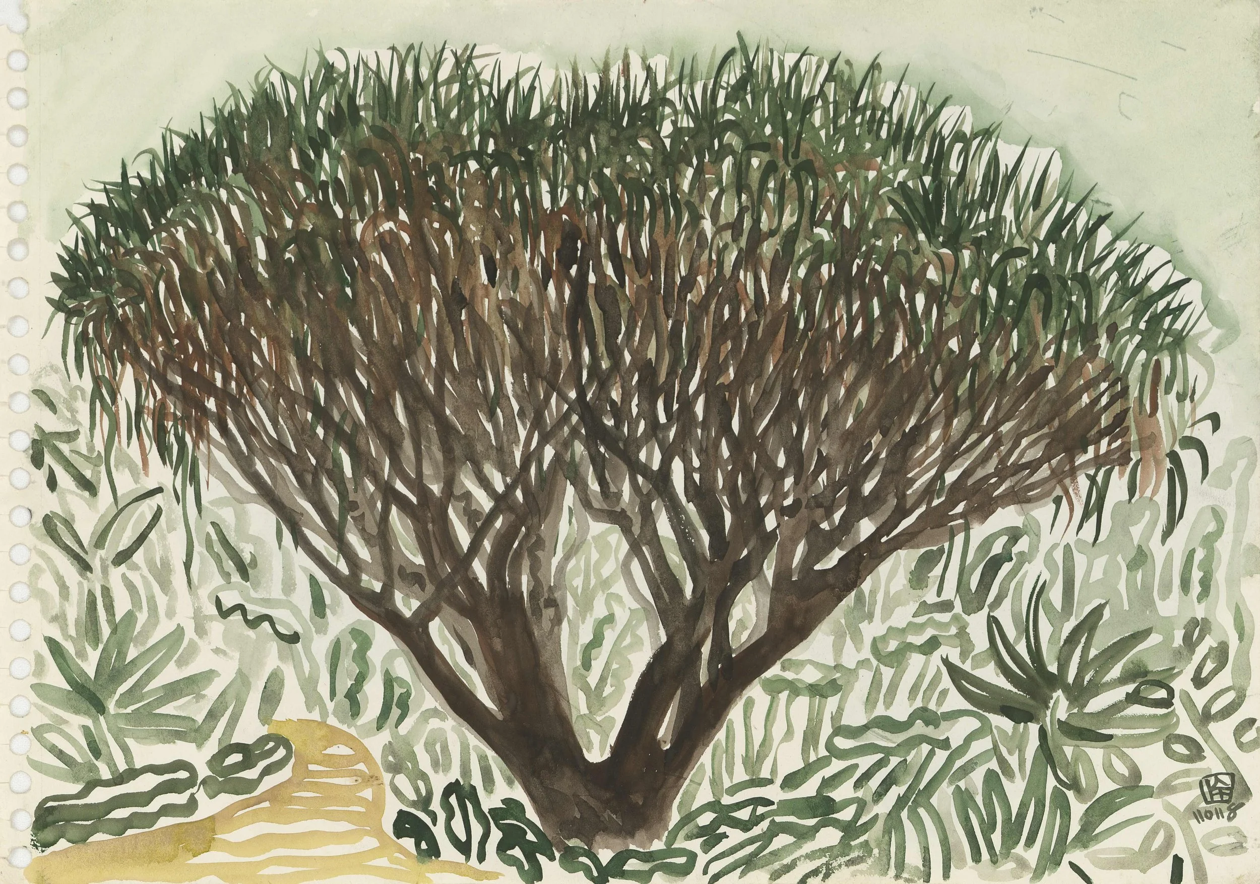 A watercolor painting of a large, leafless tree with a thick trunk and many spreading branches, surrounded by green foliage and a yellowish ground.