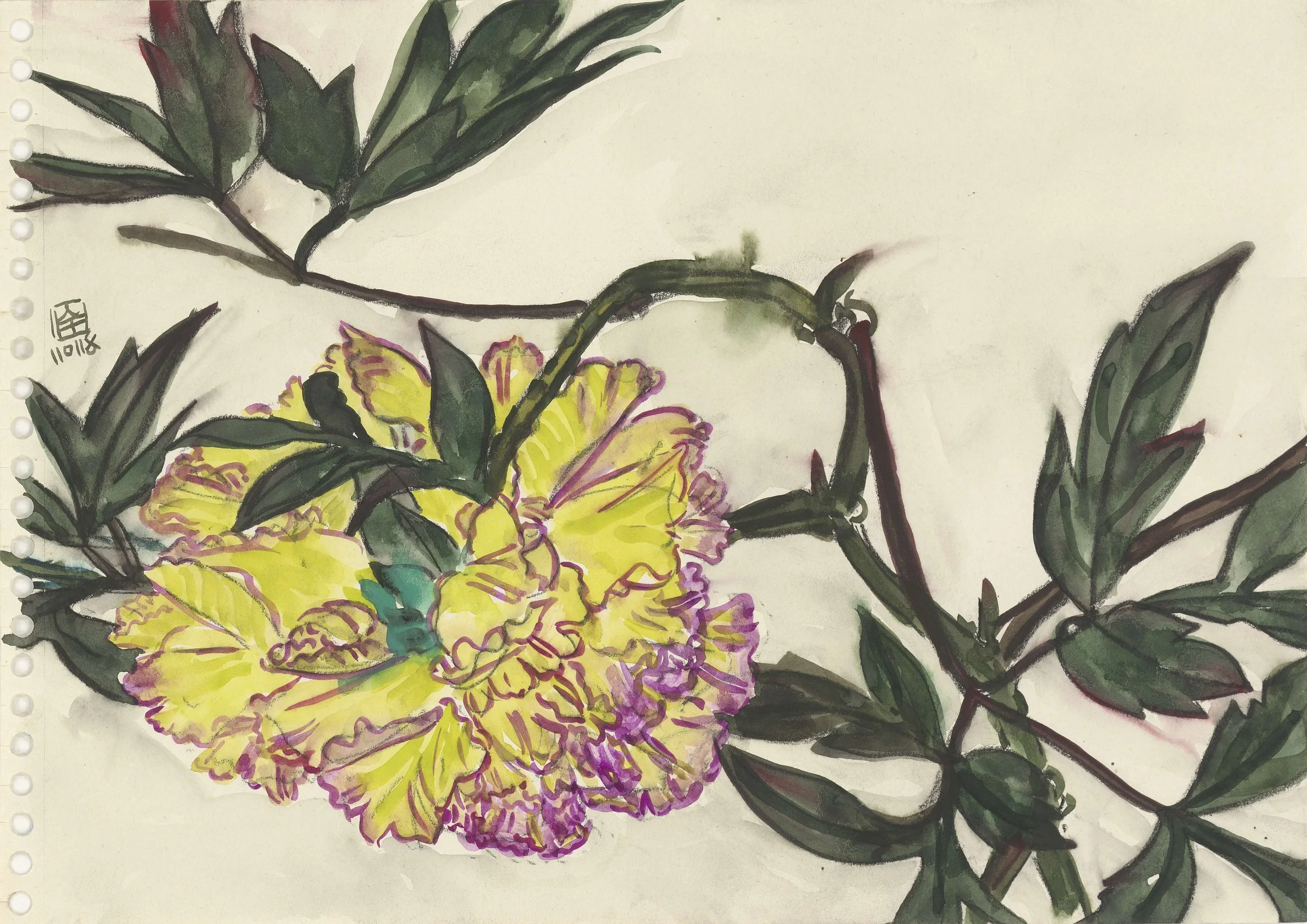 A watercolor painting of a large yellow and pink peony flower with green leaves against a light background.