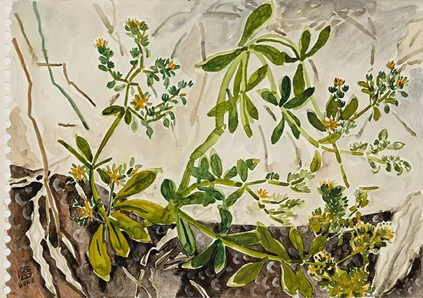 Watercolor painting of green plants with small yellow flowers growing out of a rock crevice.