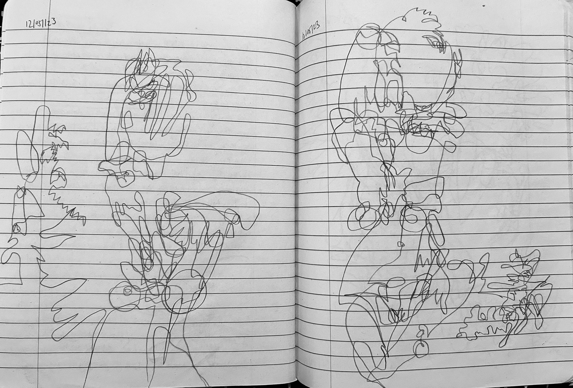 Initial, original drawings used to created 9x4 with, 2023web.jpg