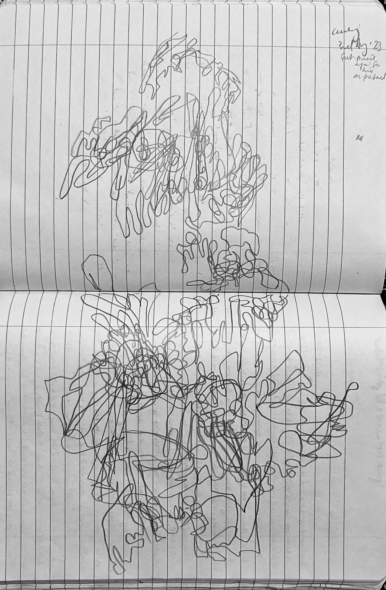Initial drawings for inspiration of sculpture, 2023web.jpg
