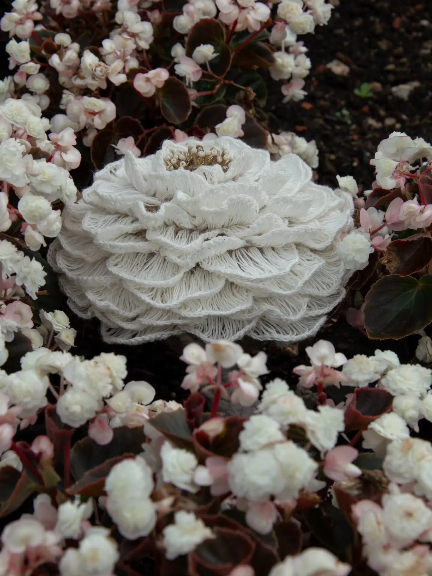 Spent a few joyful hours photographing this piece yesterday.
Despite the rain in the forecast, I managed to catch a little window of soft, gentle weather which gave just enough time to wander around with the camera, look for the right angles, and mak