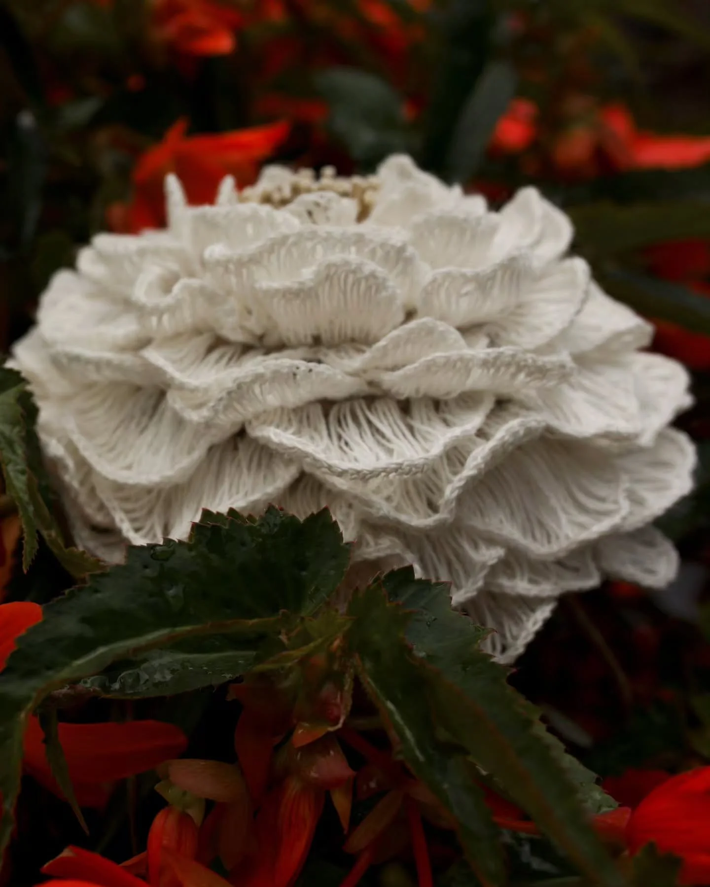 The next part of the MOON FLOWER workshop is now live✨️

So far, we&rsquo;ve chosen our materials and built the soft dimensional base. Next up: petals and decoration!
📸 @nikonirinaph

#flowermagic #crochetflowers #softsculpture #slowstitching #croch