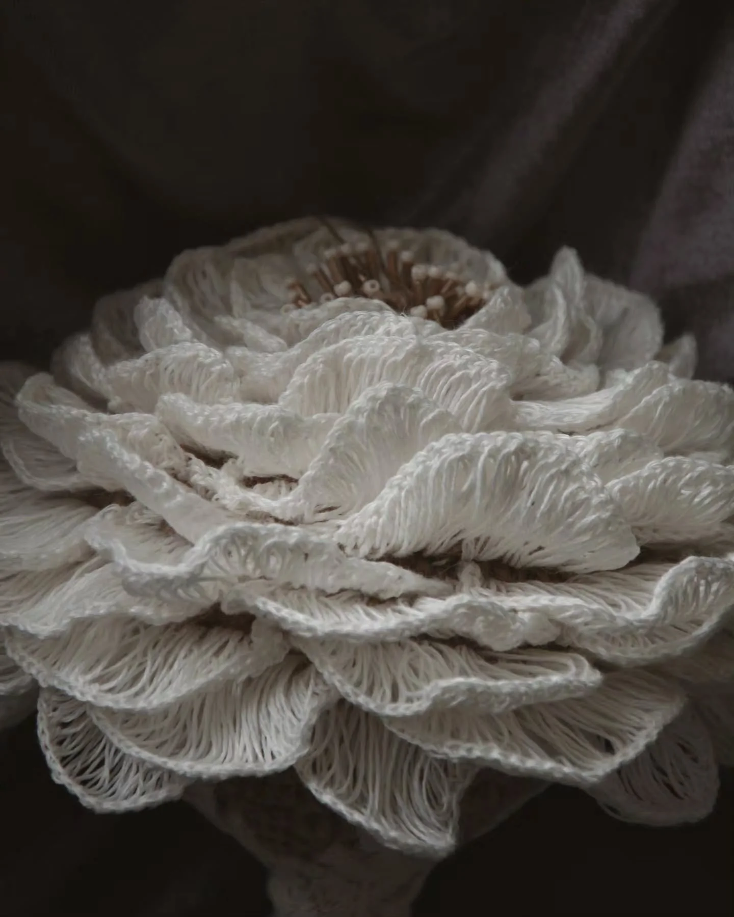 MOON FLOWER has grown from an experiment with shape and texture into a finished pattern &mdash; and it is now available on Etsy and Ravelry 🌙

This project began with some of the ideas I explored in CELINE, but this time the flat circular form devel