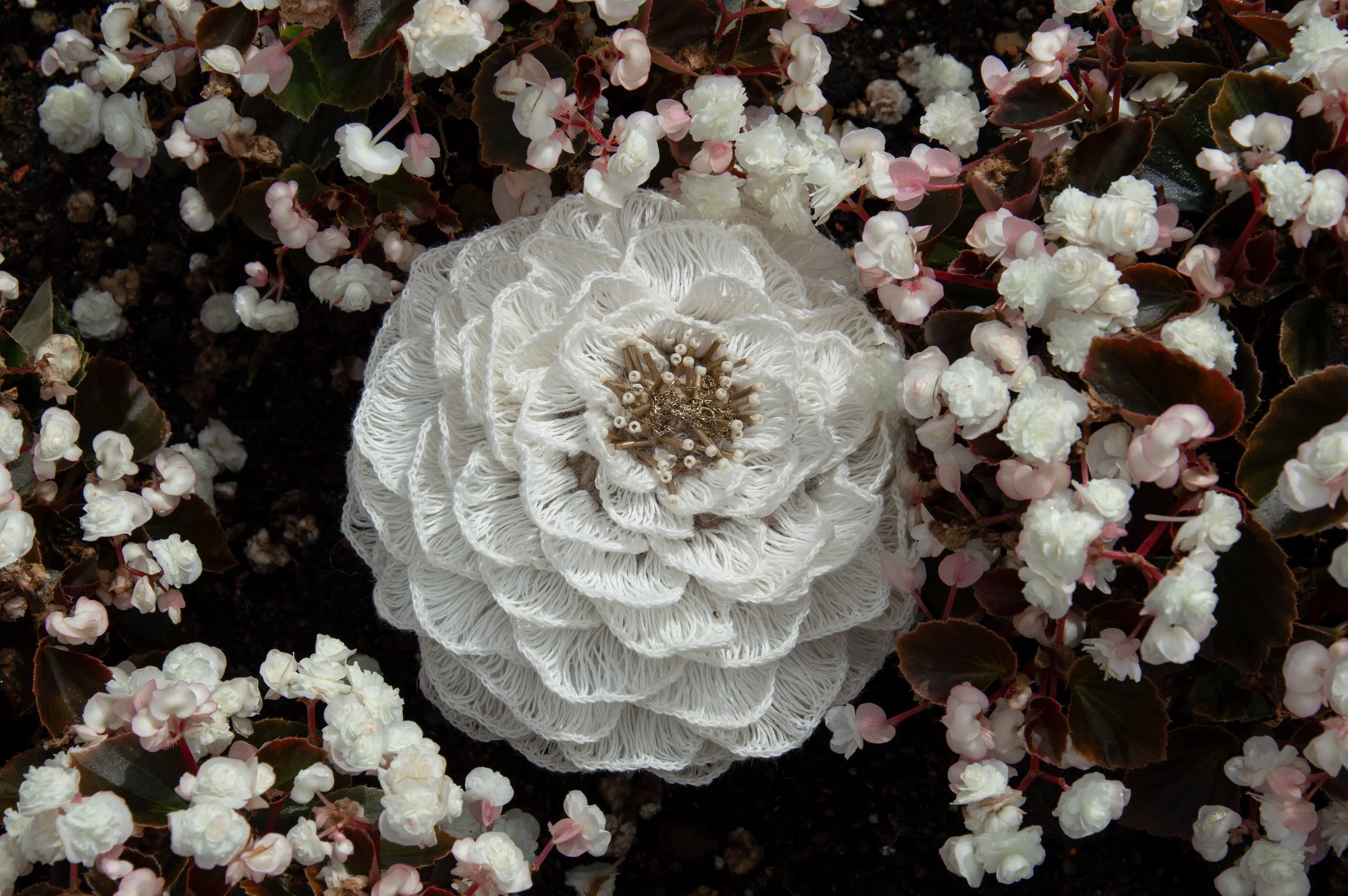 MOON FLOWER