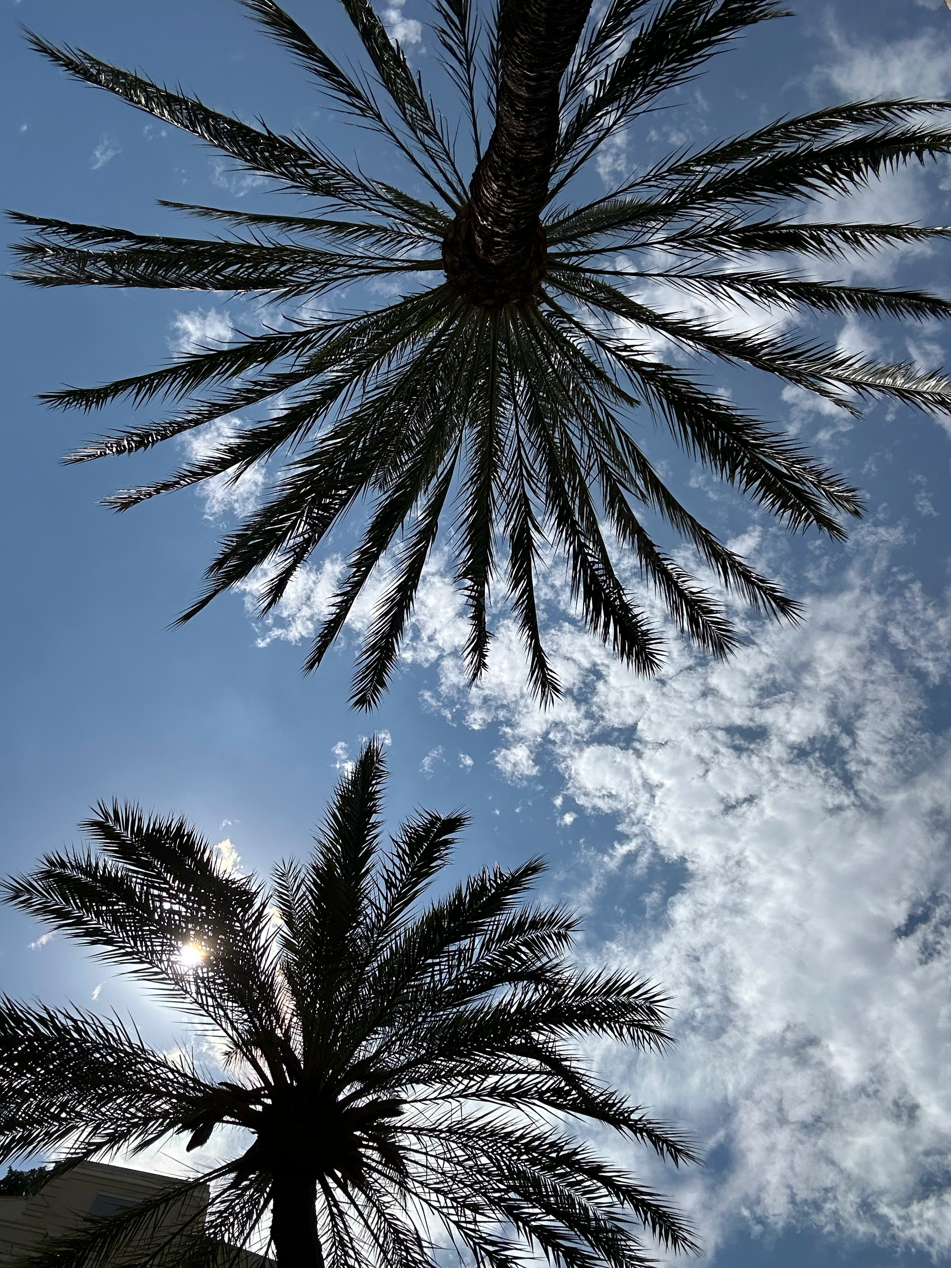Blue skies and the hot, hot sun. Temperatures were in the high 90s most of the time during our first visit. Shweww...and the humidity! 