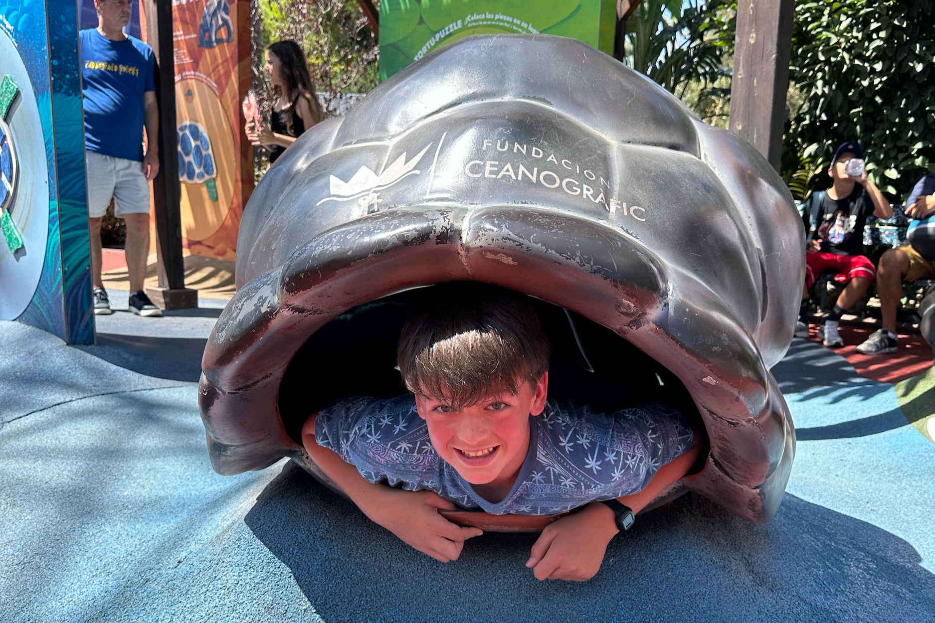 ...that they wanted to become turtles themselves.