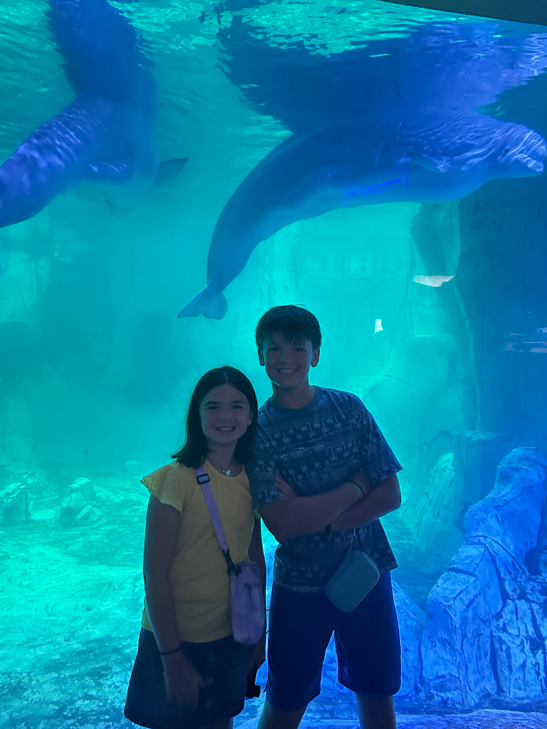 We spent a lot of time with the Beluga whales in the Arctic Antarctic experience.